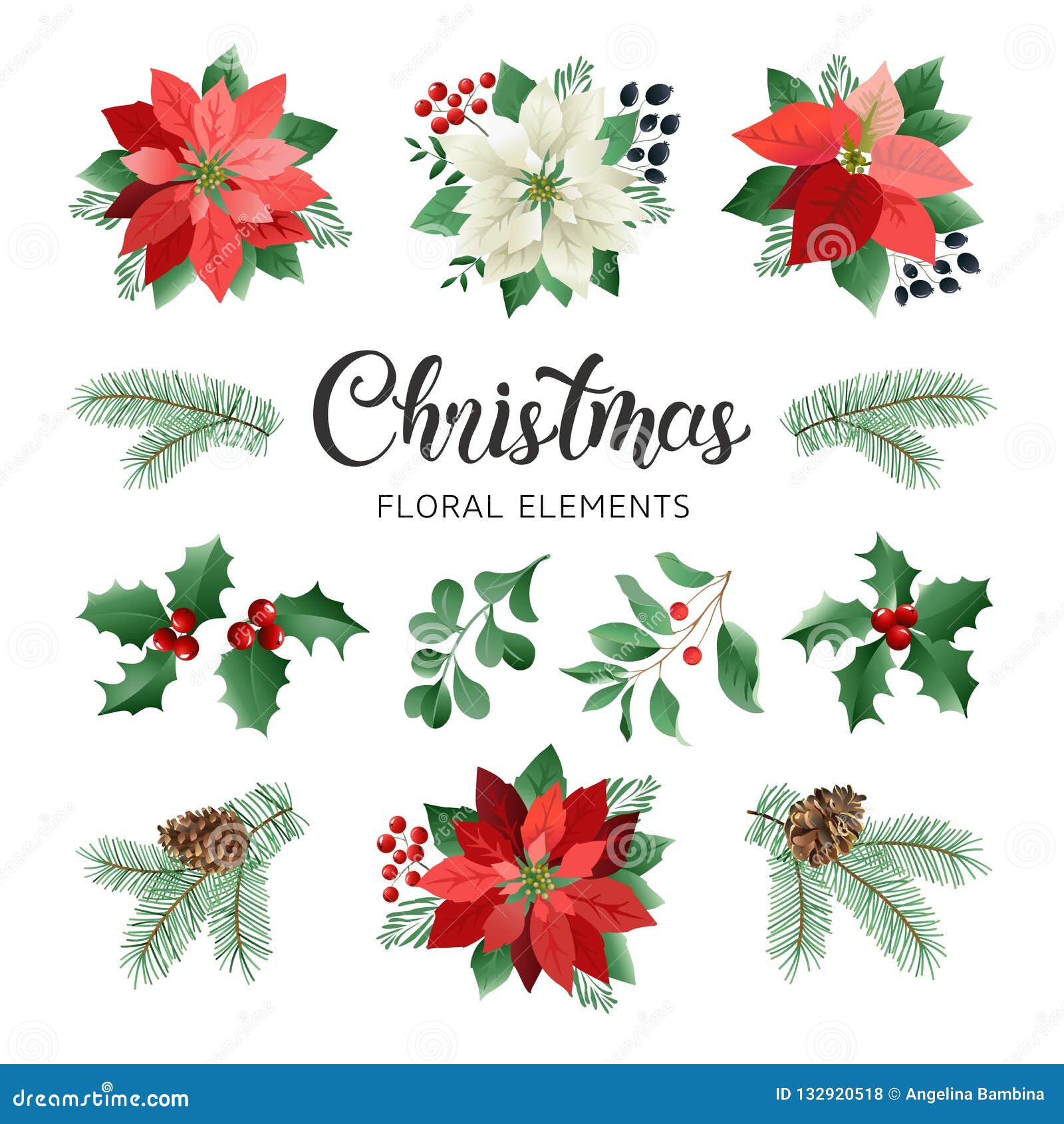 poinsettia flowers and christmas floral s in watercolor style .