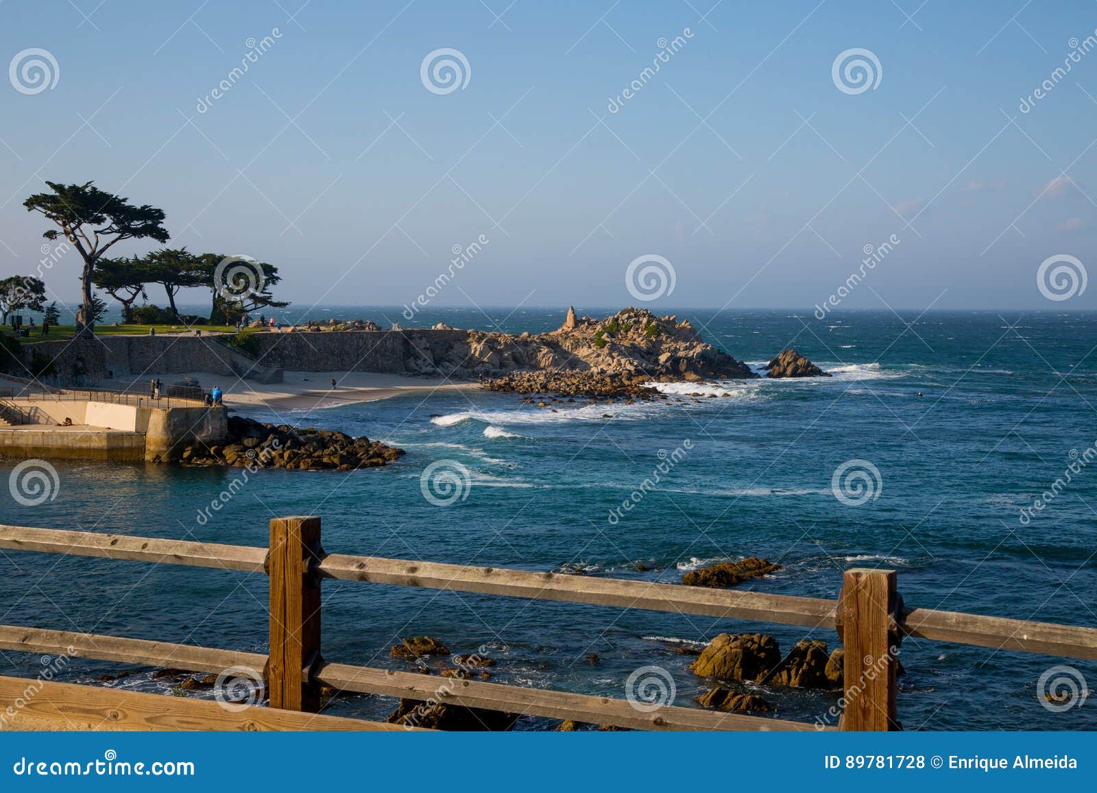 Point Lovers Beach stock photo. Image of trees, monterey 89781728