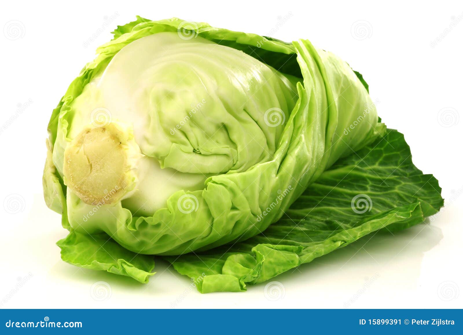 Pointed cabbage stock image. Image of healthy, single 15899391