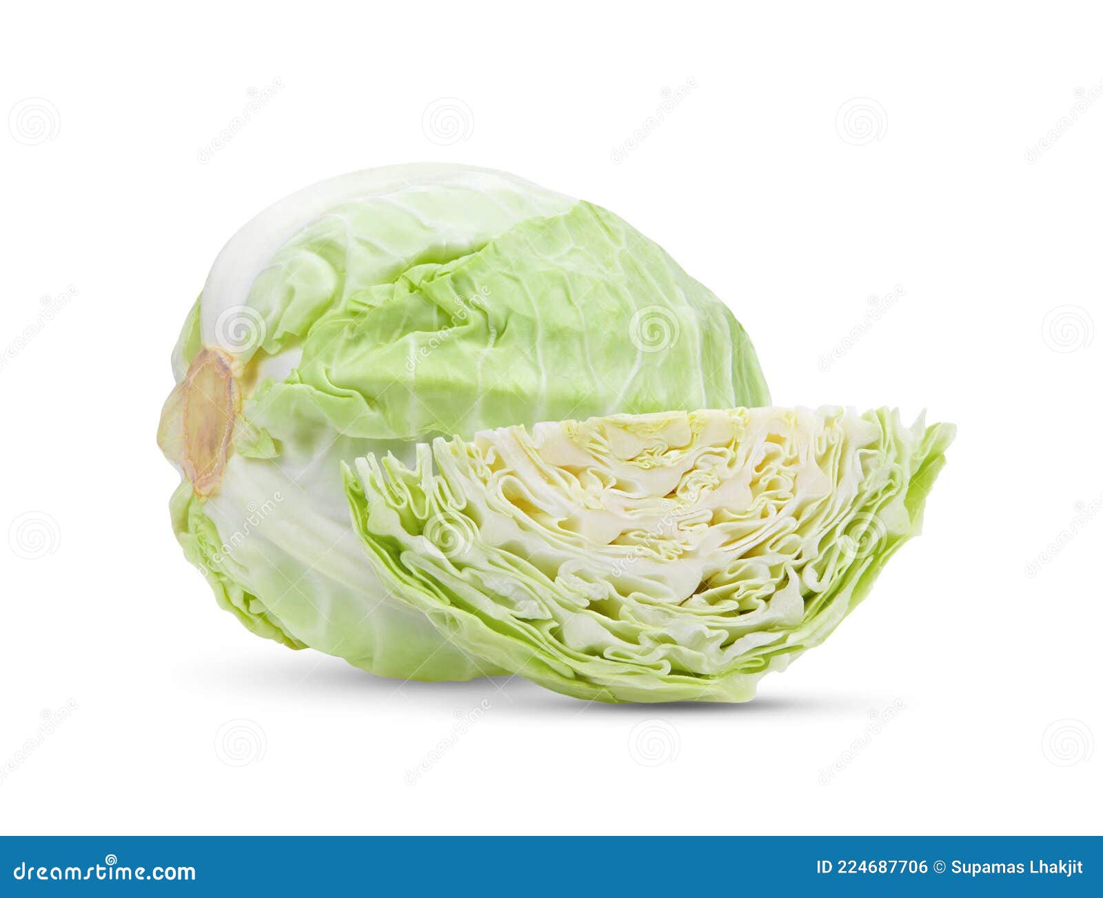 Pointed Cabbage on White Background Stock Photo Image of green