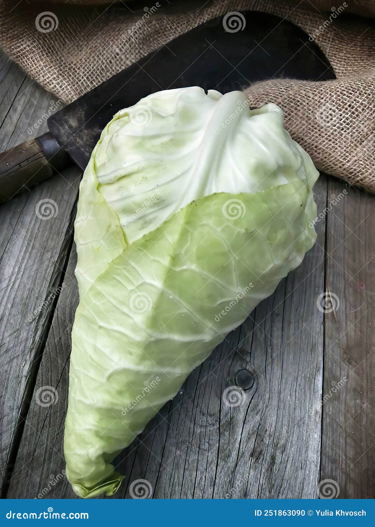 Pointed Cabbage, Wooden Substrate, Old Cleaver, Studio. Stock Photo
