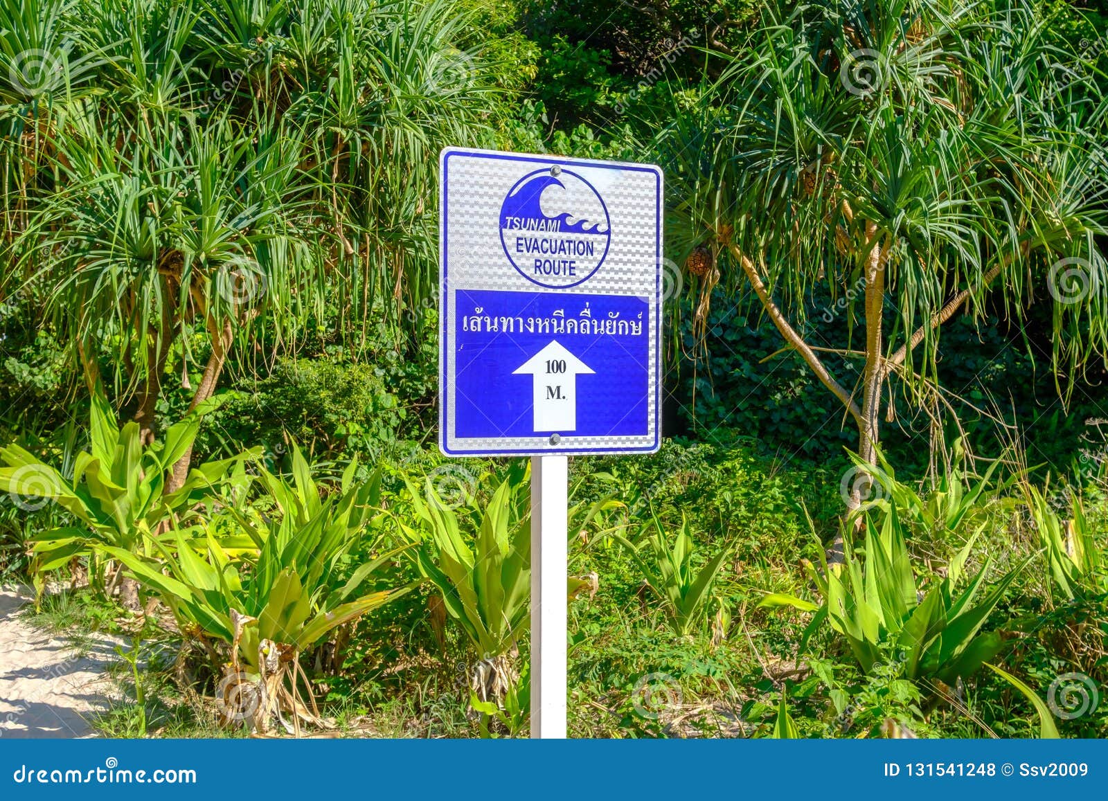 Pointer indicating the direction for evacuation from tsunami. Warning sign: Tsunami evacuation route.