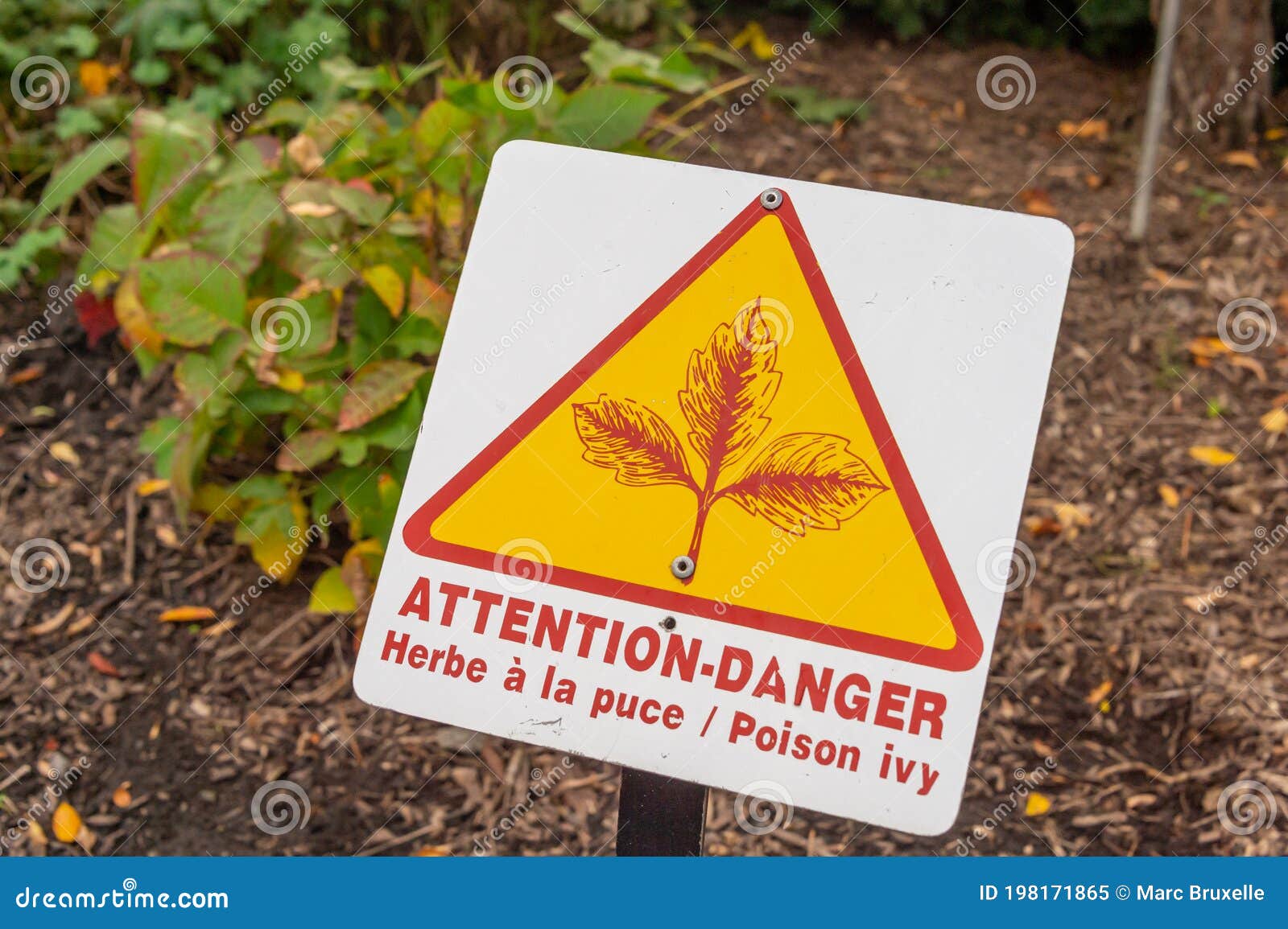 poison ivy warning sign