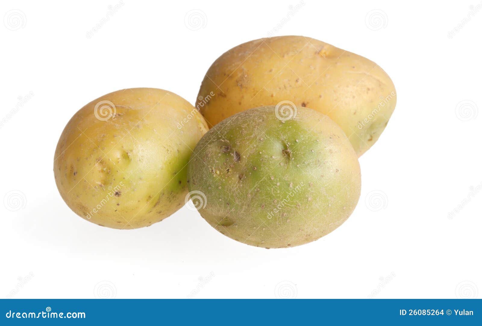 Poisonous green potatoes stock photo. Image of plant 26085264