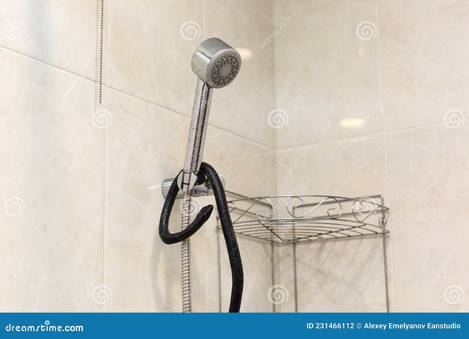 A Poisonous Snake in the Bathroom Wrapped Around the Shower Stock Photo -  Image of bite, fear: 231466112