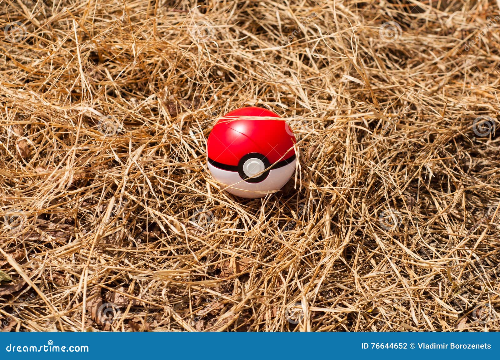 Pokemon quest hi-res stock photography and images - Alamy