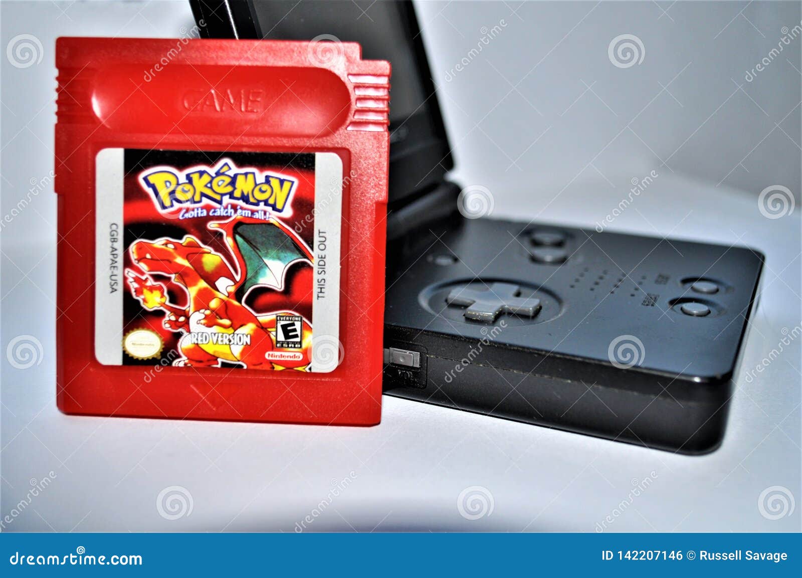 Pokemon Black Version Nintendo DS Reproduction Cartridge -  Sweden