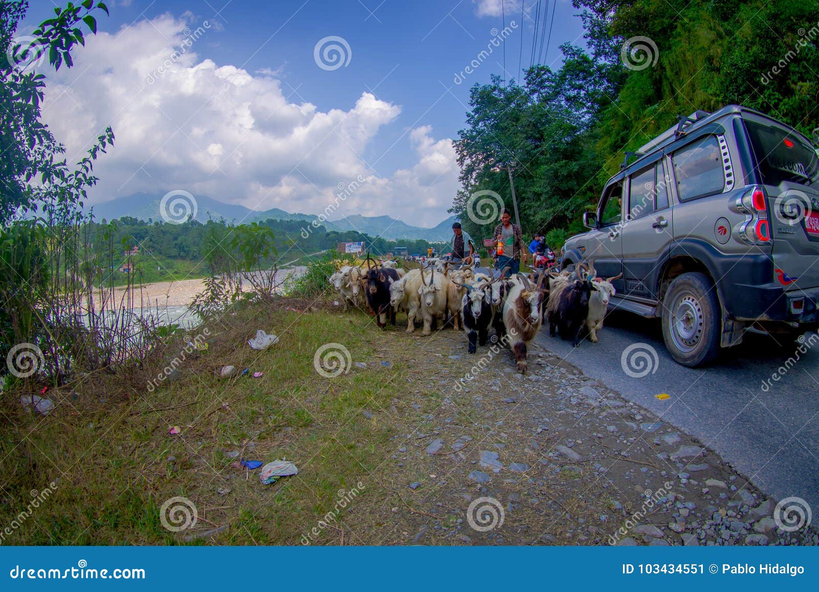 POKHARA, NEPAL, SEPTEMBER 04, 2017: Shepherds take care of flocks of goats, going along the street with some cars parked of small town in Pokhara, Nepal.