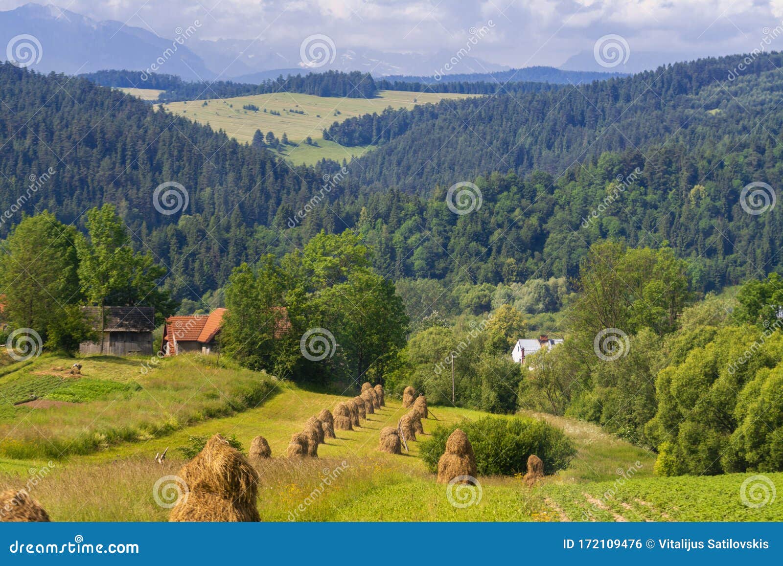 Poland, Beautiful Polish in Mountains, Beautiful Nature in Mountains, Place To Travel, Beautiful Panorama Stock Photo - Image hill, mountains: 172109476