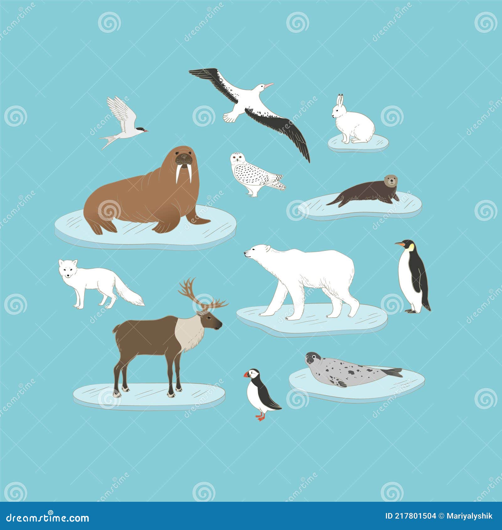 Polar Animals Vector Set on Blue Background. Arctic Animals on Ice in ...