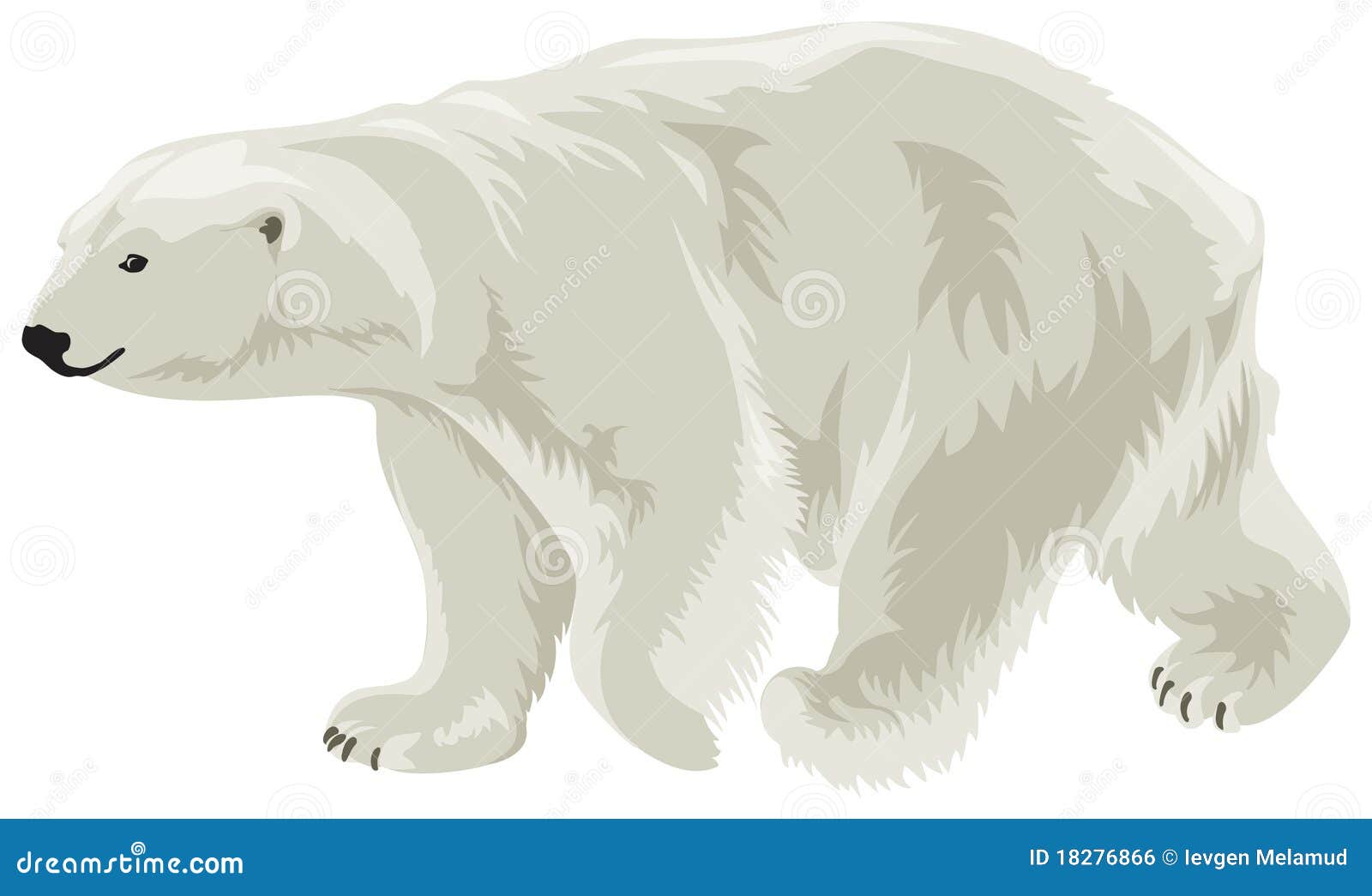 polar bear in