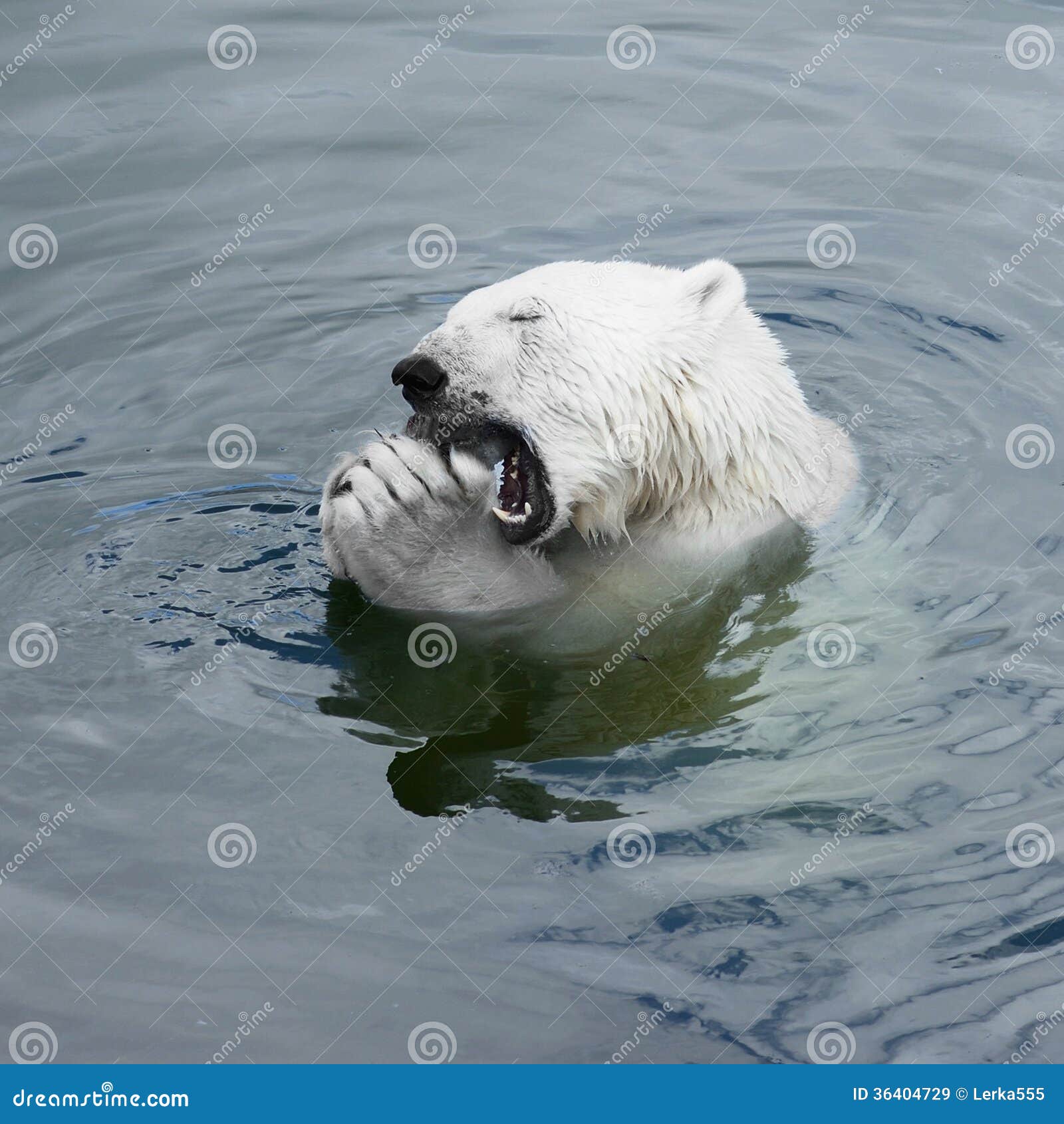 My Image 30