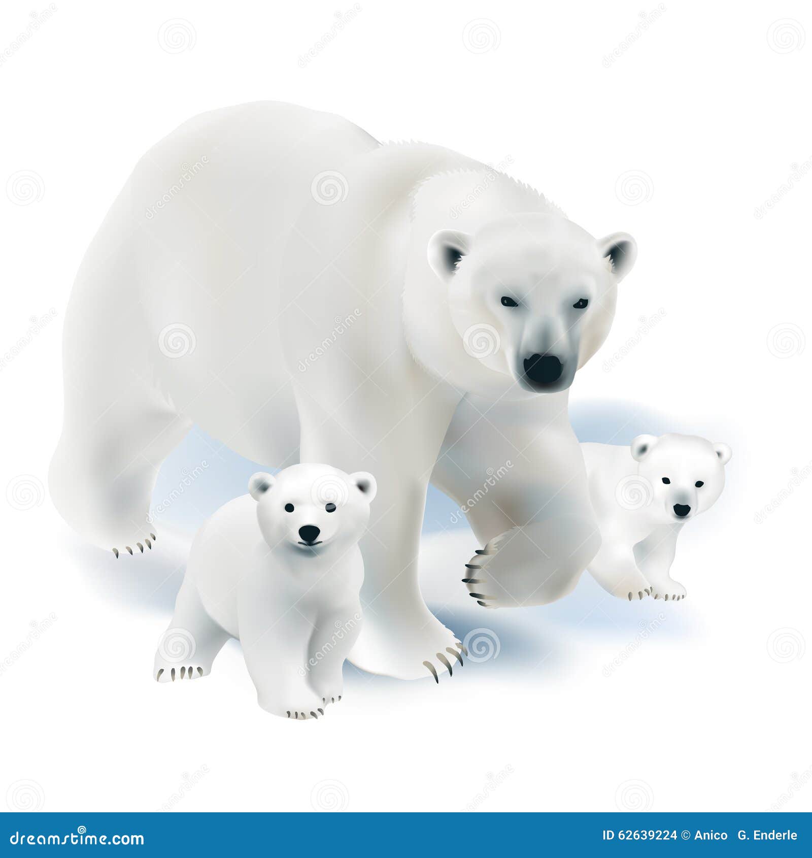 Healthpartners White Bear Lake Medical Records Healthpartners White Bear Lake Medical Records