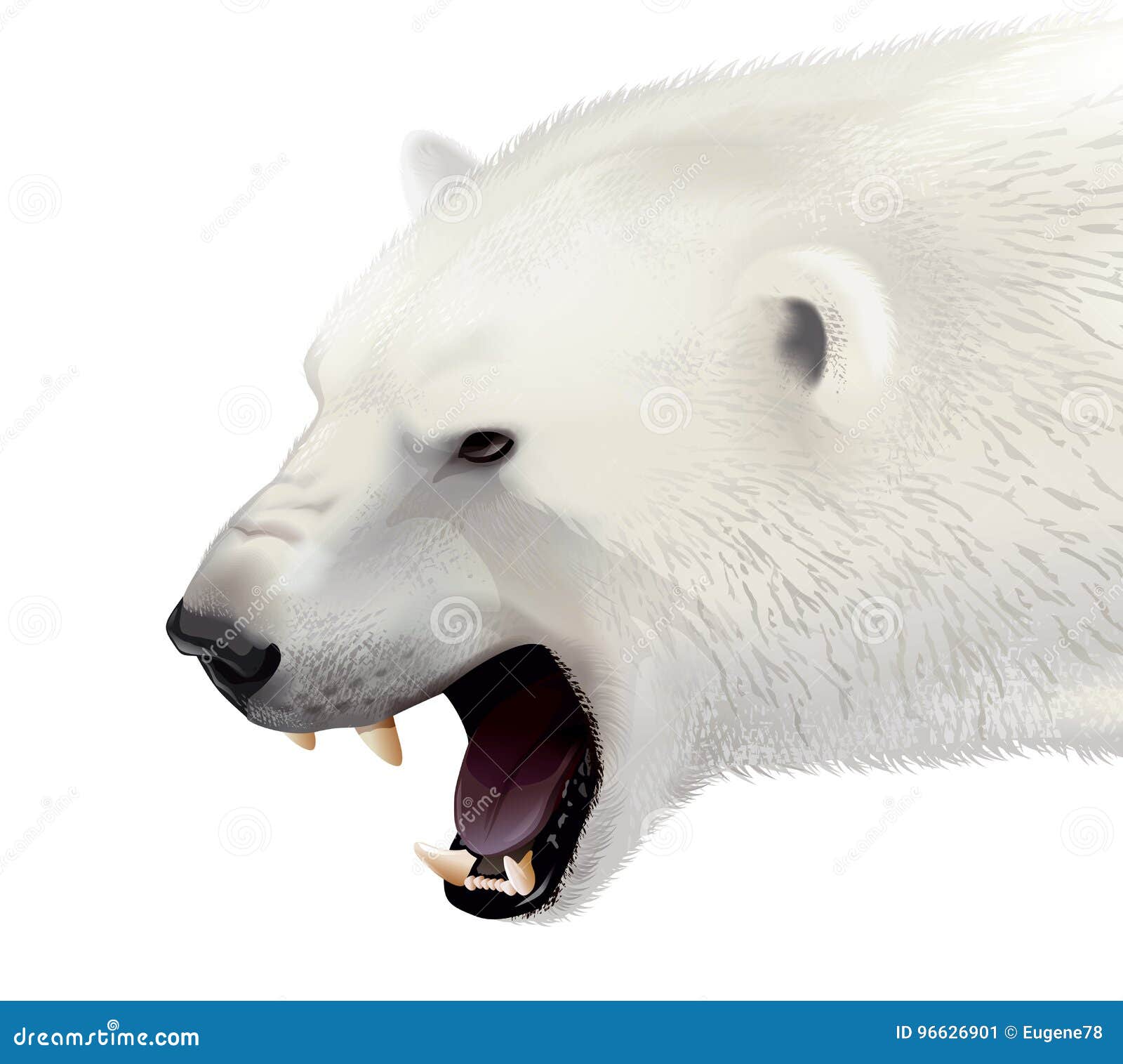 Polar bear head stock vector. Illustration of fangs, animal Polar bear head stock vector. Illustration of fangs, animal