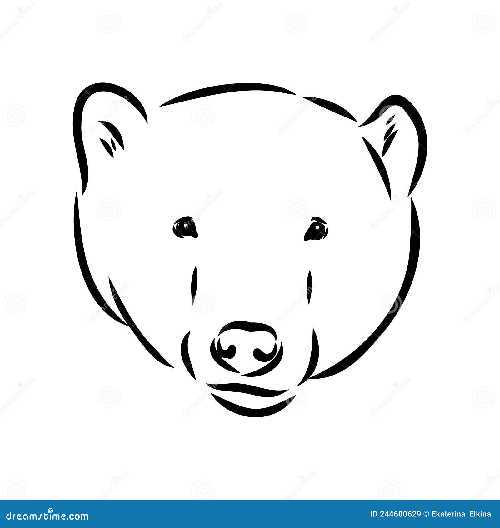 Polar Bear Illustration, Drawing, Engraving, Ink, Line Art, Vector