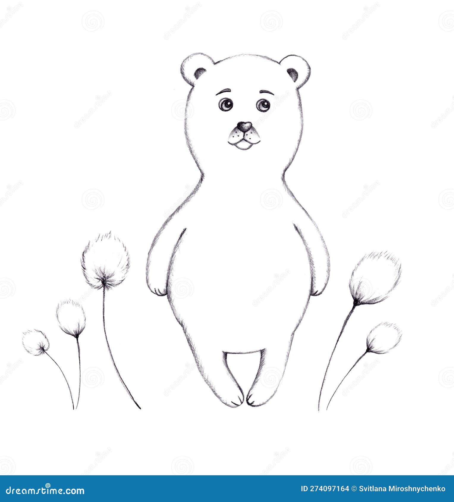 drawing of little polar bear – Line art illustrations