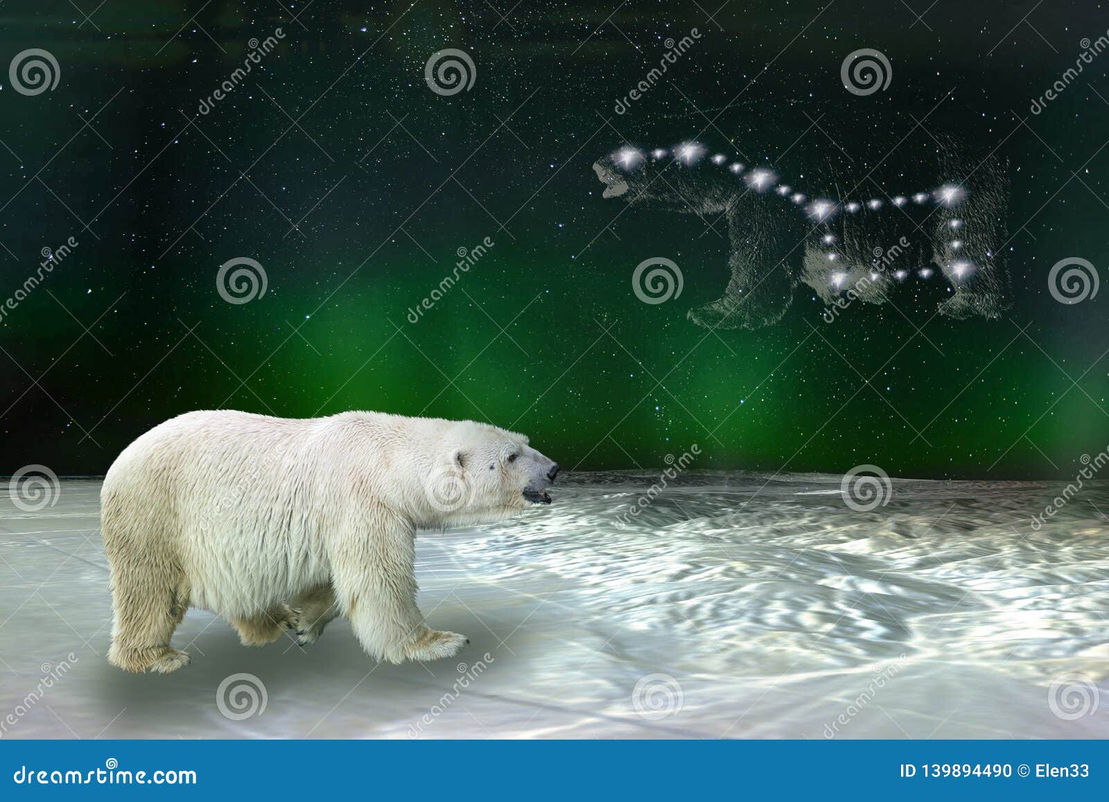 polar bear and ursa major great bear constellation