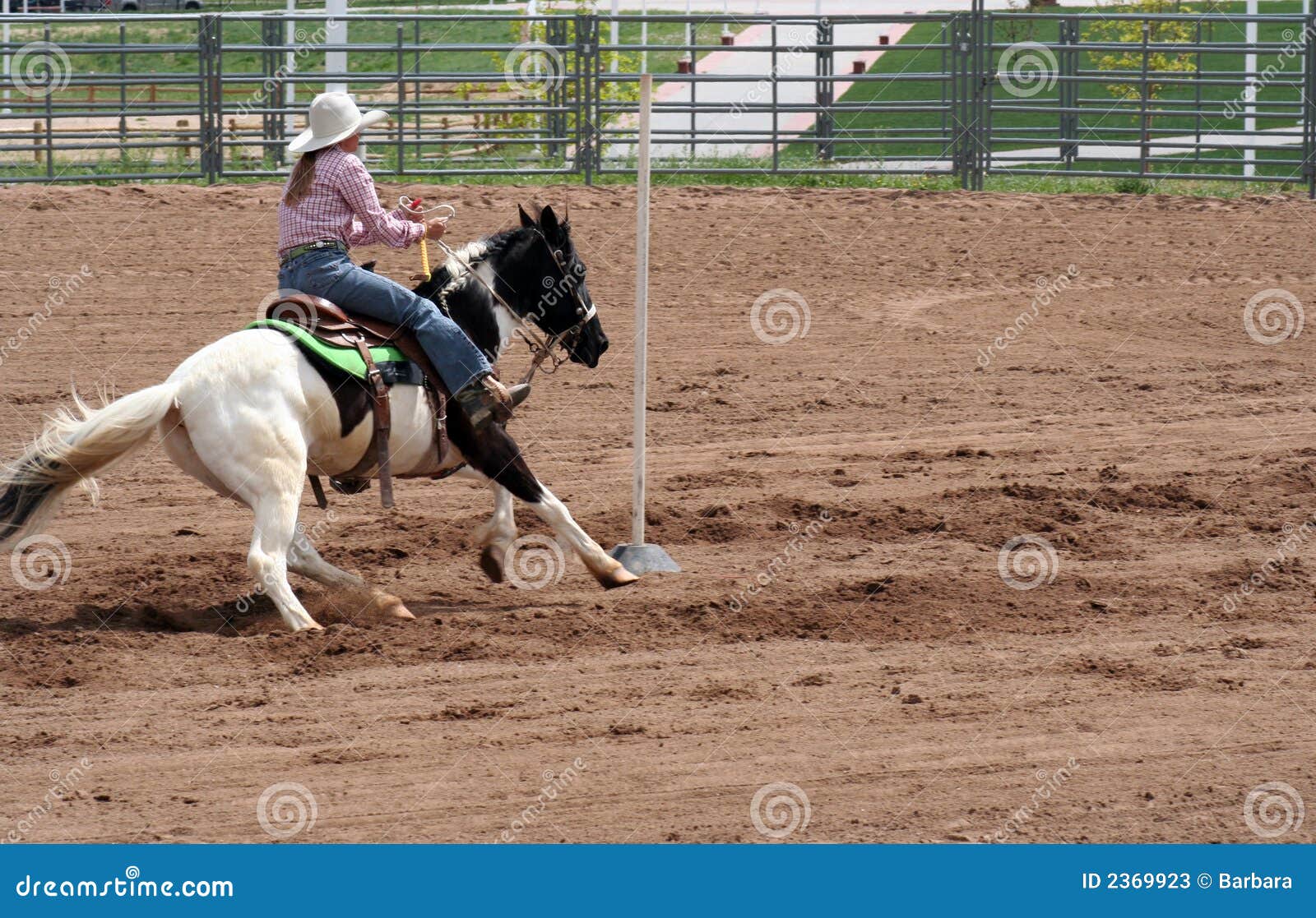 Pole Bending stock image. Image of rider, paint, horse 2369923
