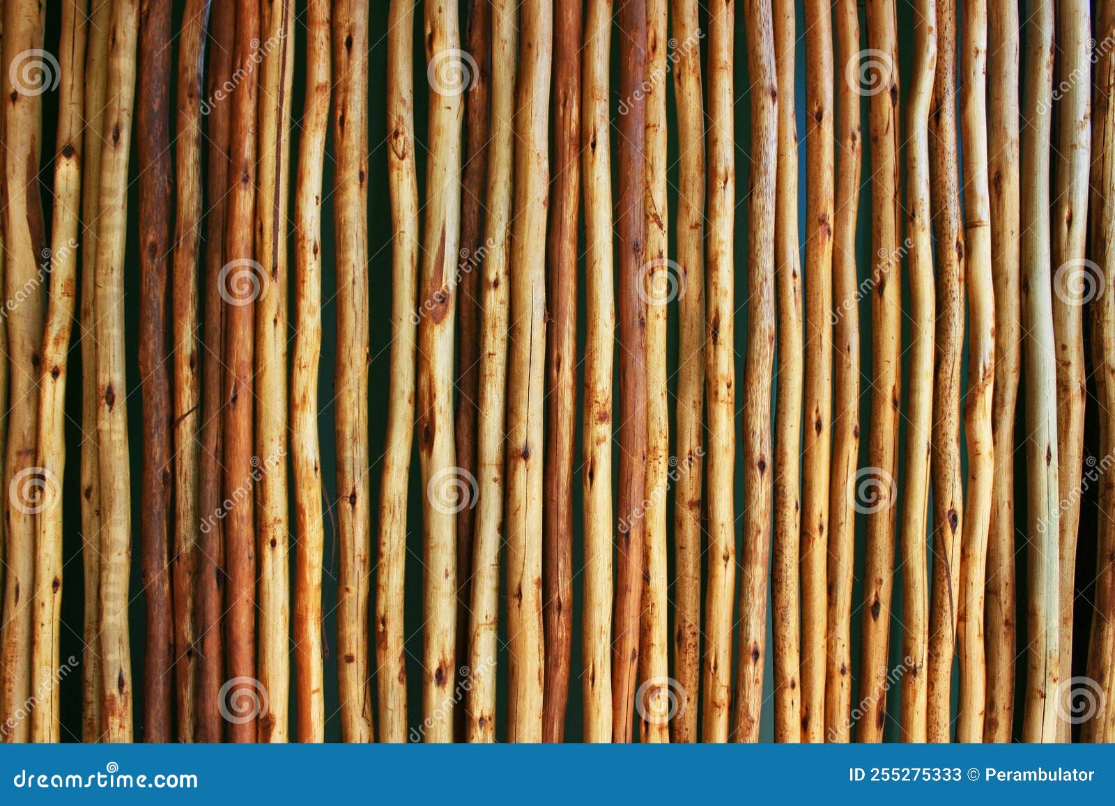 POLE FENCE MADE with STRAIGT LONG STRIPPED WOODEN POLES Stock Image