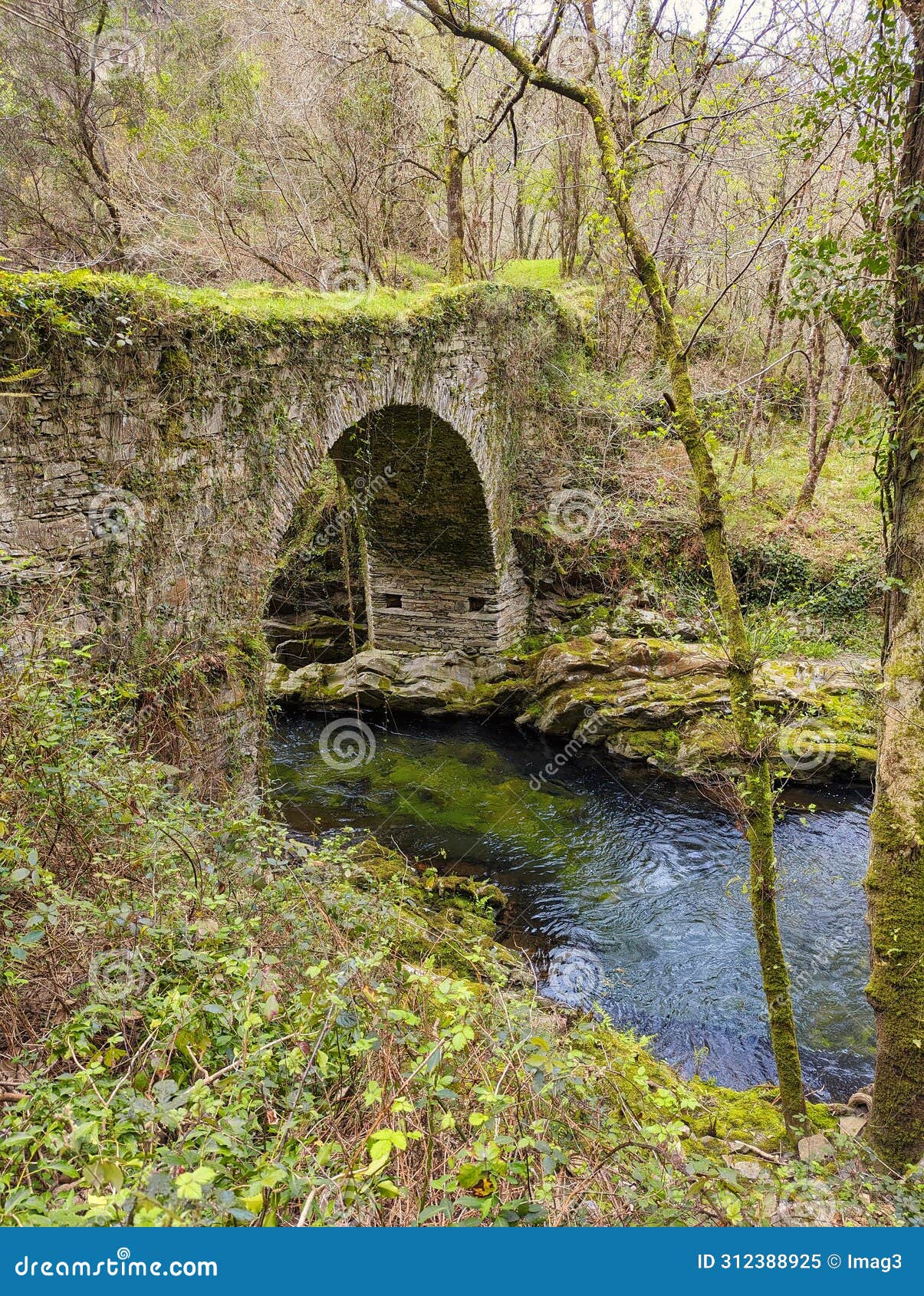polea roman and bridge, villayon municipality, asturias, spain