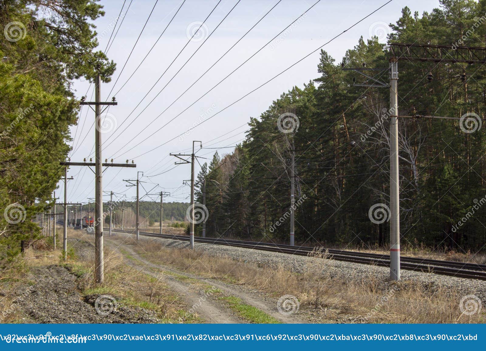 Poles along the railroad stock image. Image of poles 218914167