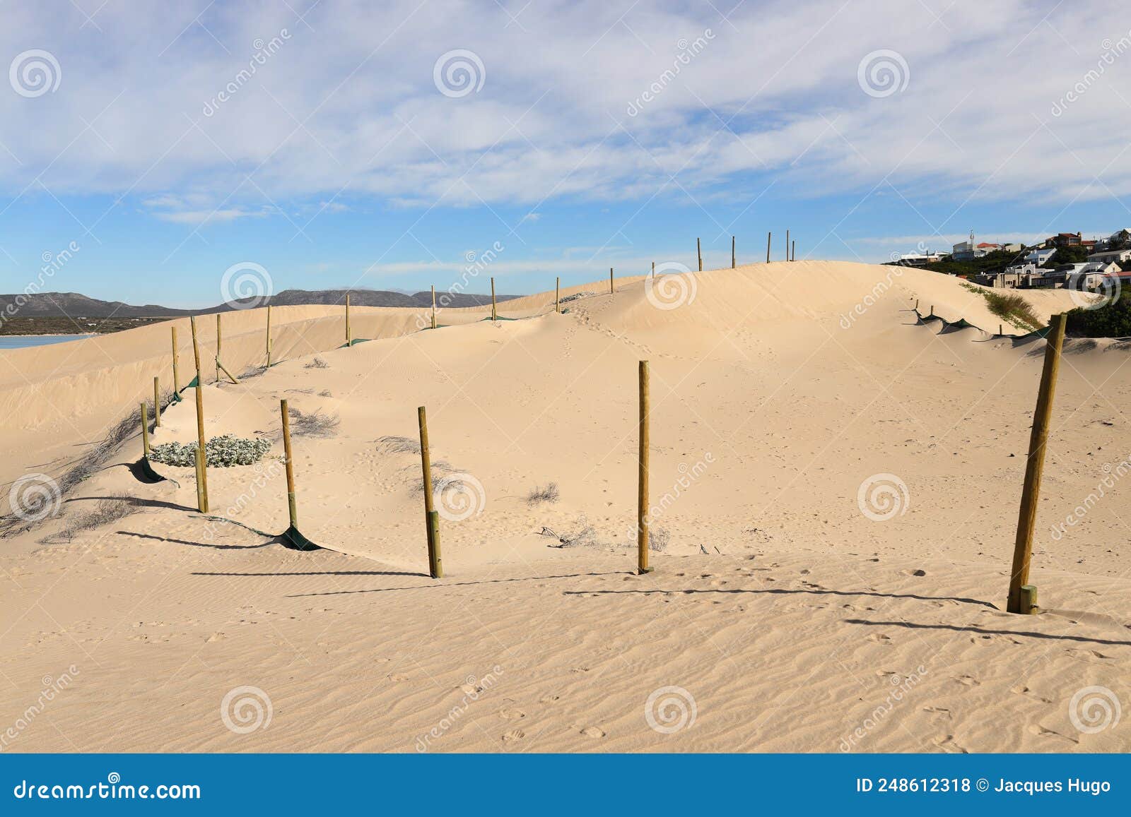 poles with netting in dunes, used to stabilize the sand of the dunes at witsand, south africa