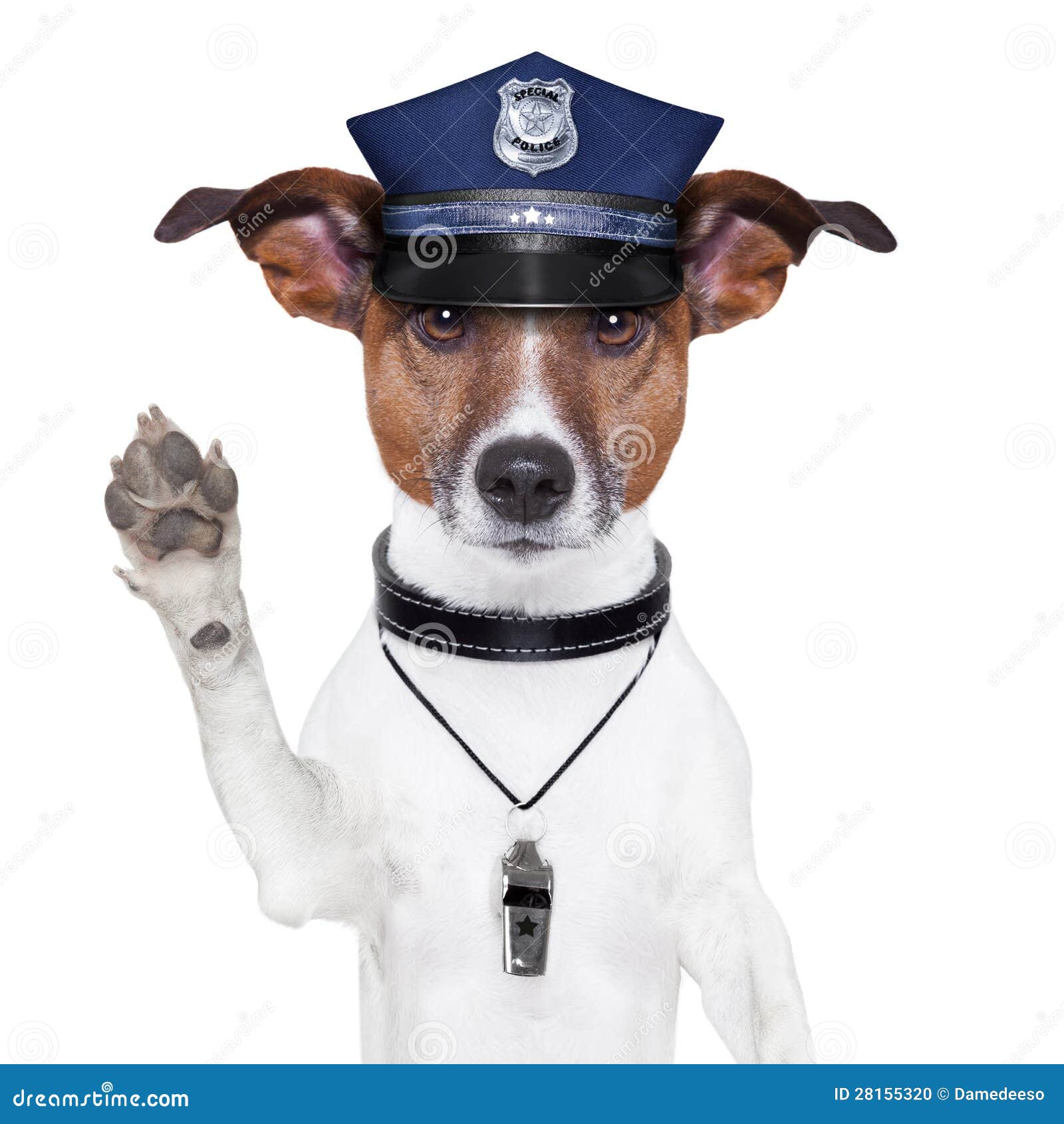 police dog