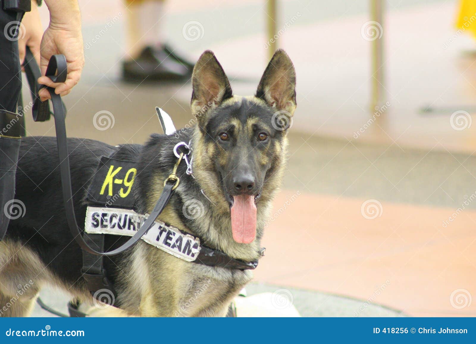 free clipart police dog - photo #46