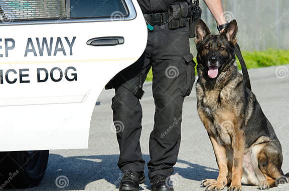 Police Dog stock image. Image of enforcement, handler - 30463339