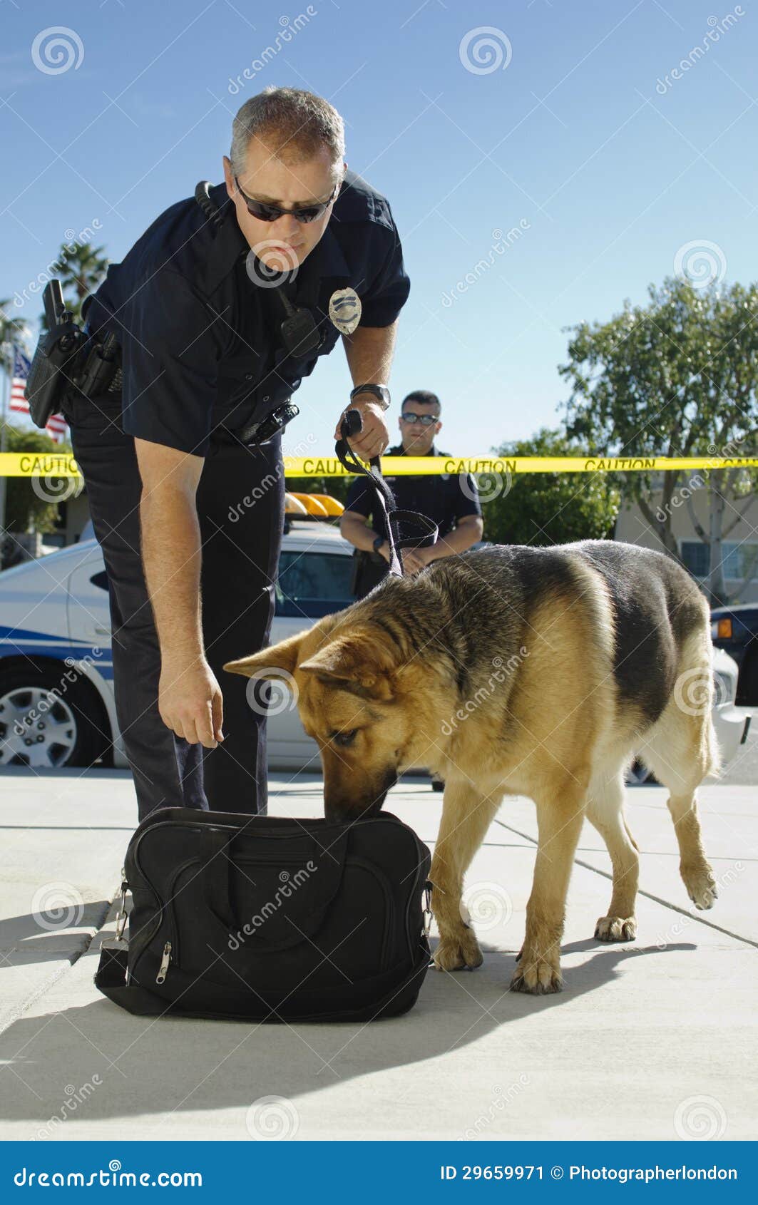 police dog sniffing bag
