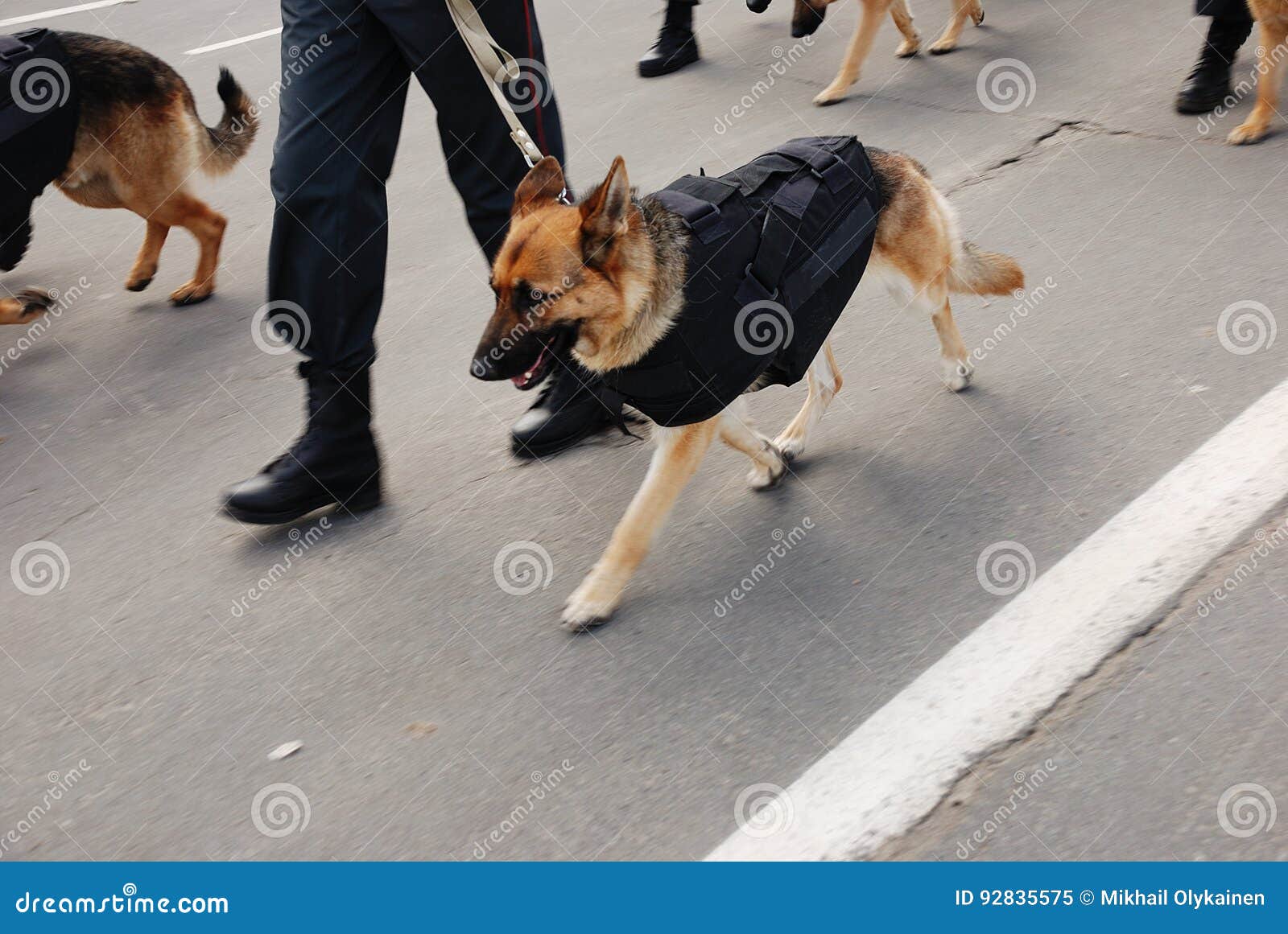 Police with dogs stock image. Image of marching, shepherd 92835575