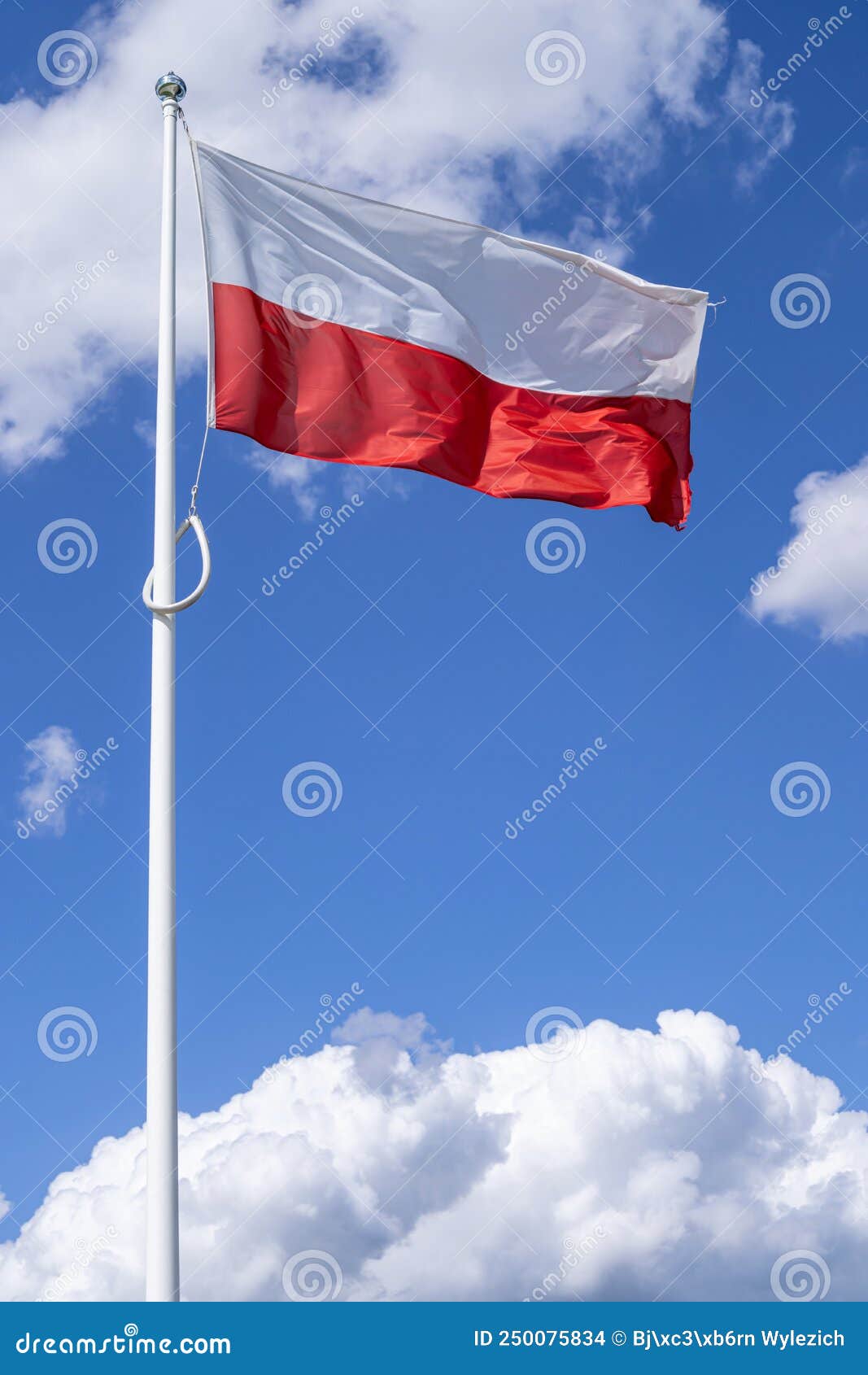 Polish flag stock photo. Image of ensign, banner, icon 250075834