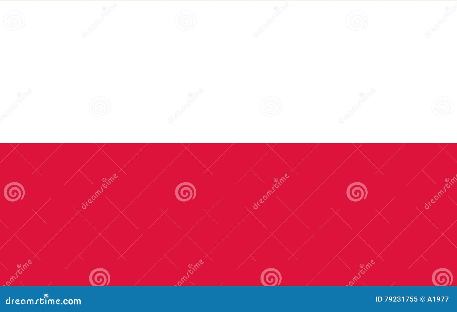 Polish flag stock vector. Illustration of european, eastern 79231755
