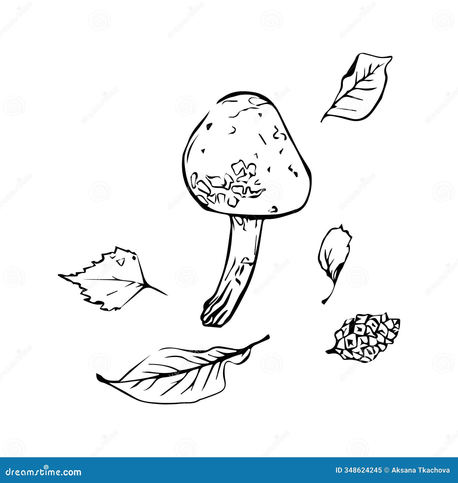 polish mushroom with autumn leaves, hand drawn in graphic style. mushroom and leaves for .  