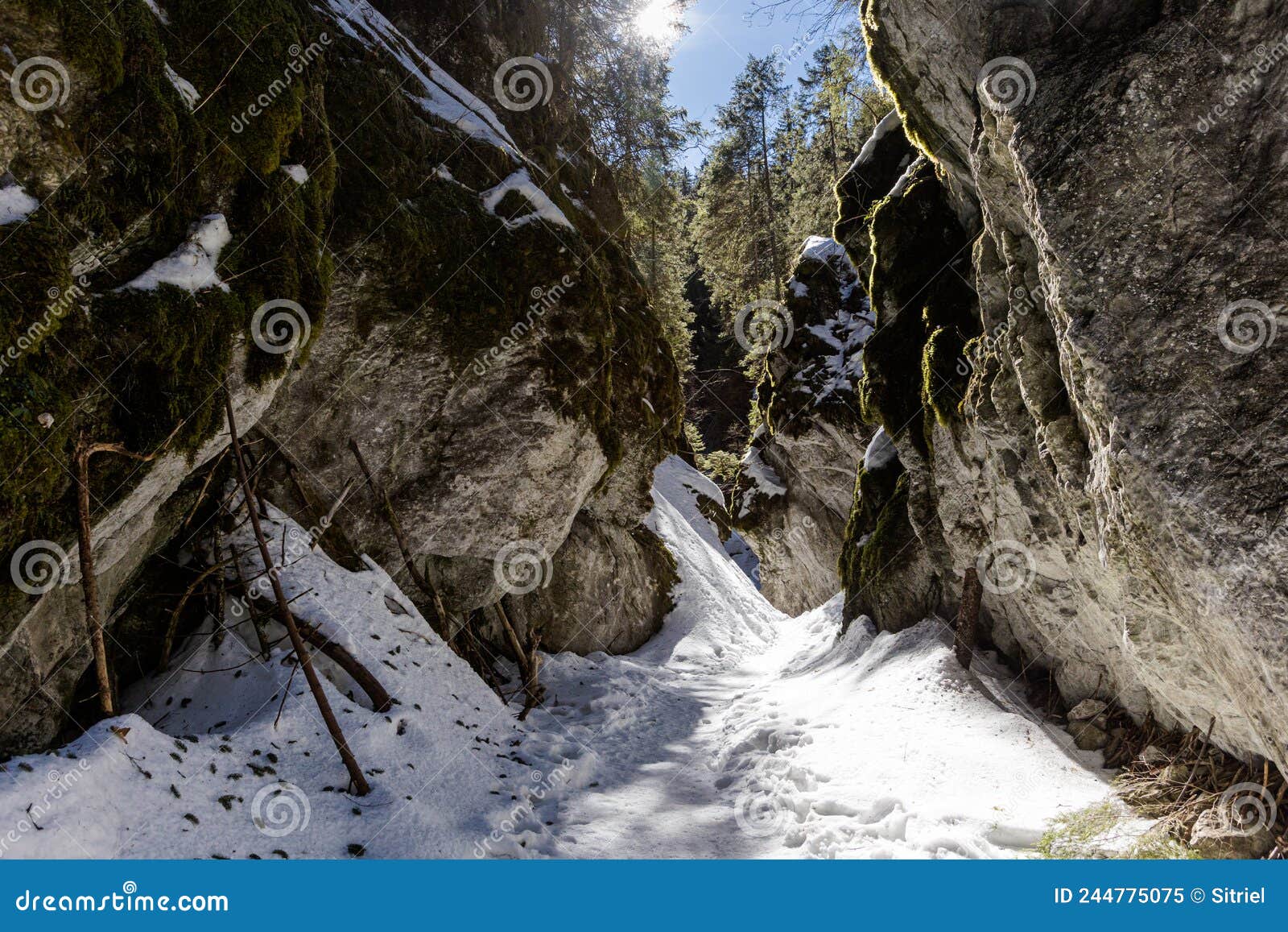 polish tatry mountains landscape