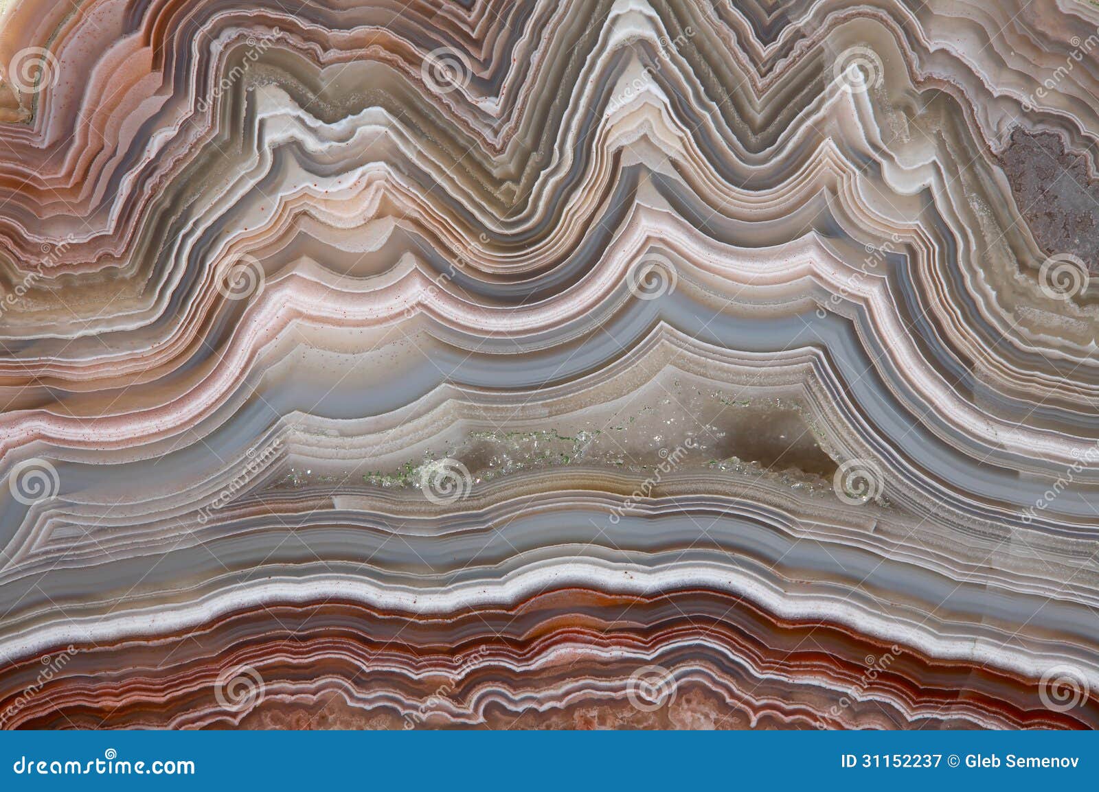 the polished cut of agate