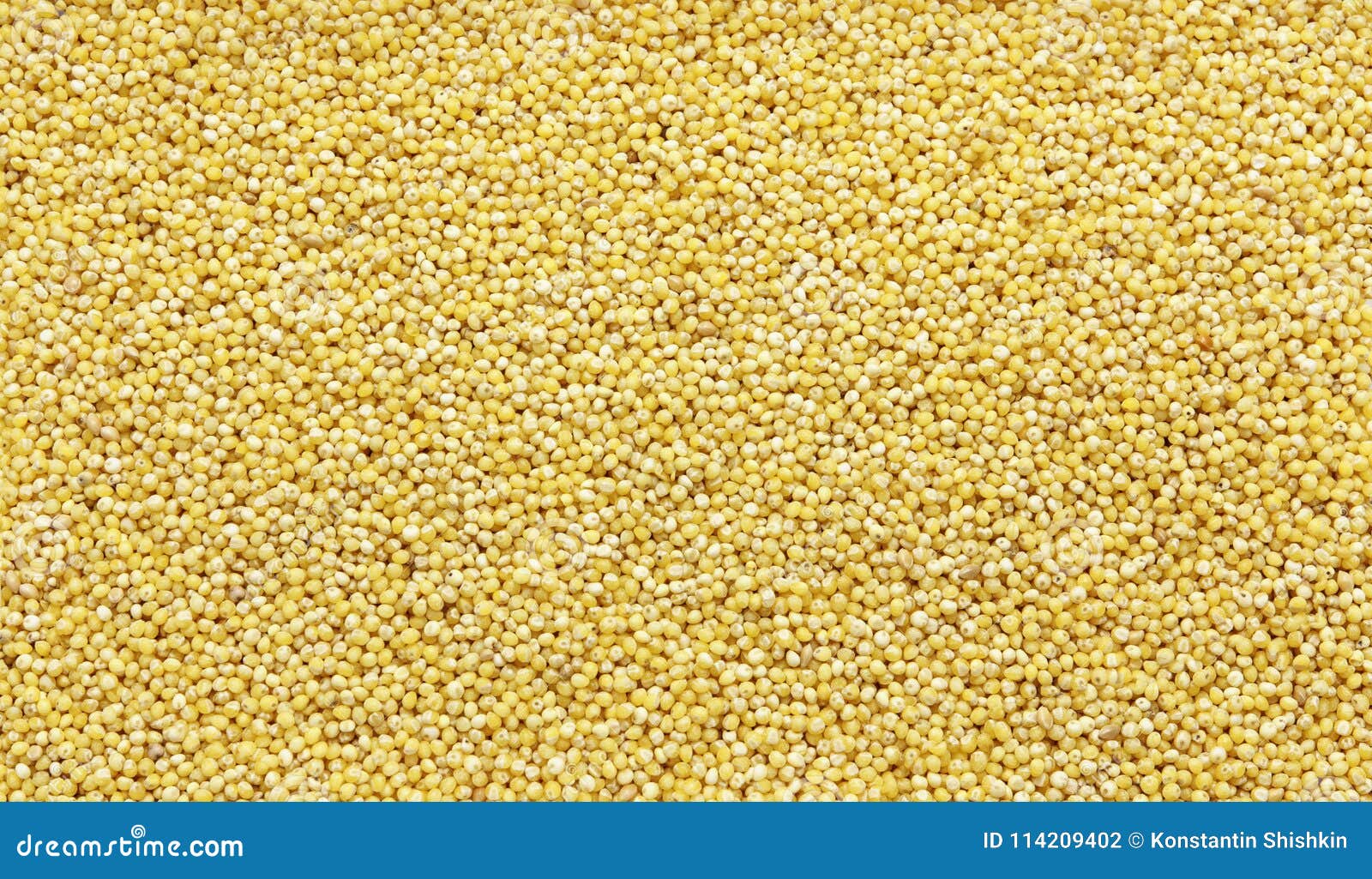 Polished Millet -texture and Details - Traditional Food Stock Photo ...