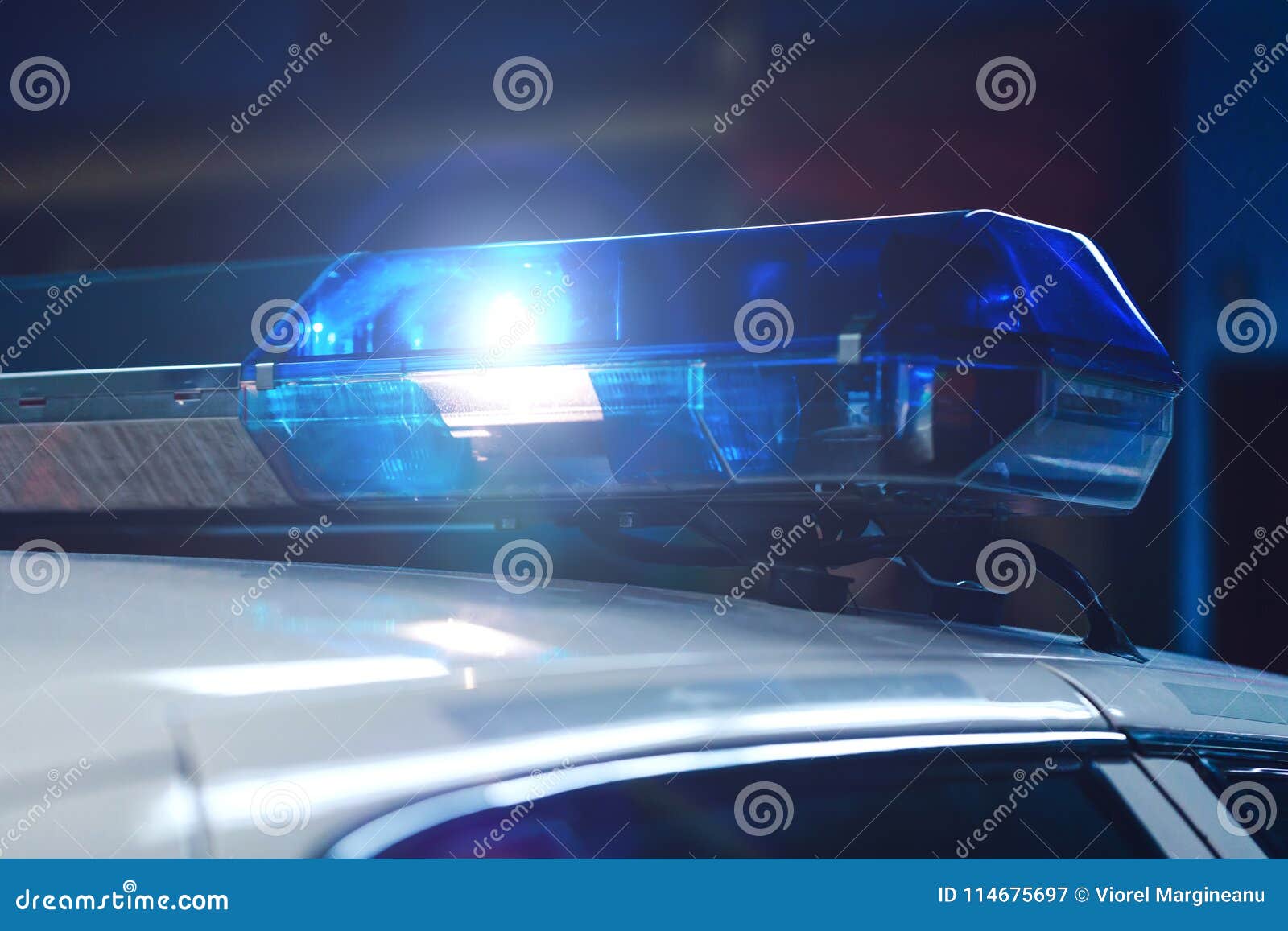 Polizei Nachts Im Auto Mit Blauem Sirenenblitzgeber Sirene Auf Pol  Stockbild - Bild von kanadisch, leben: 114675697