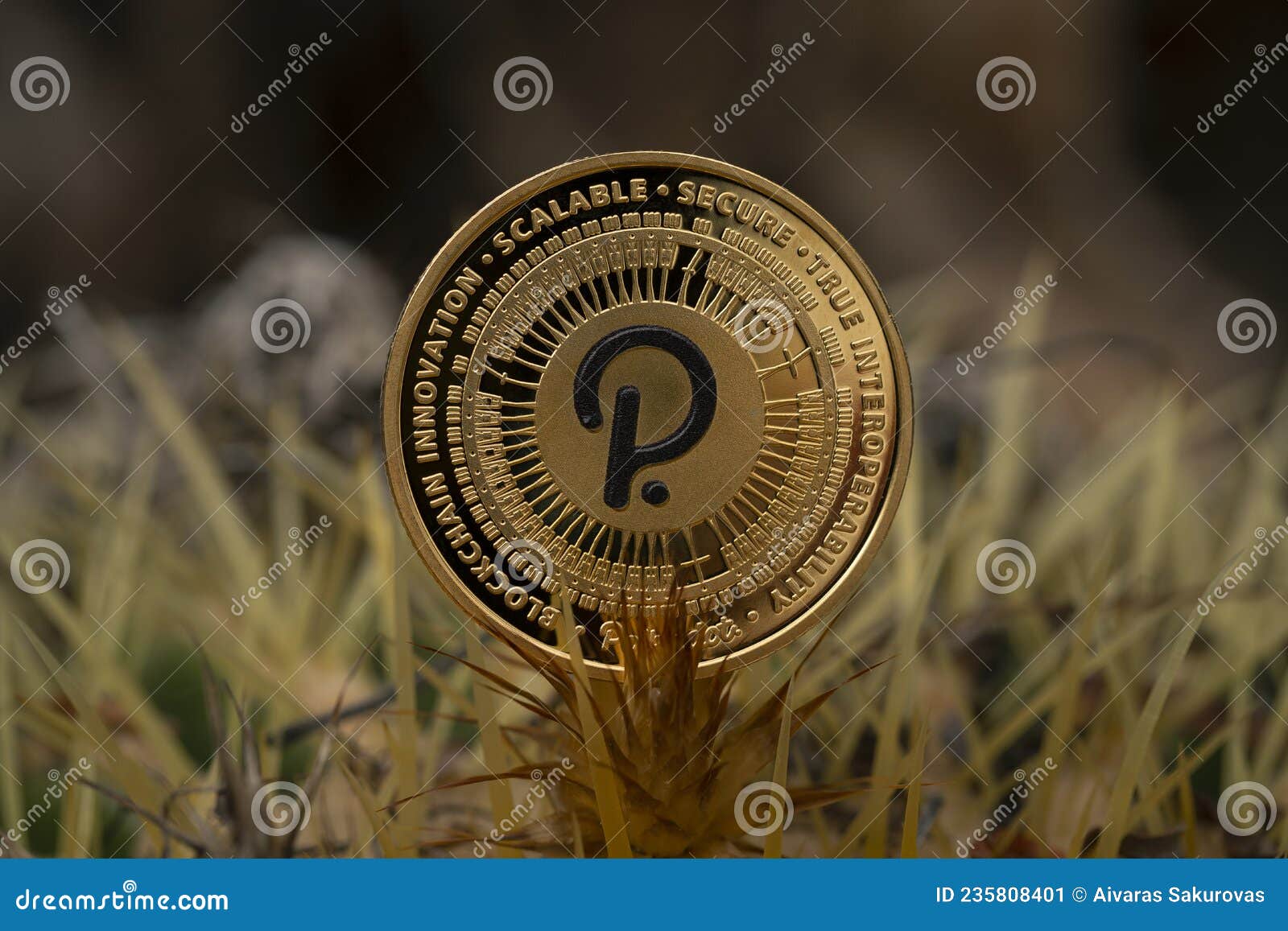 crypto dot coin