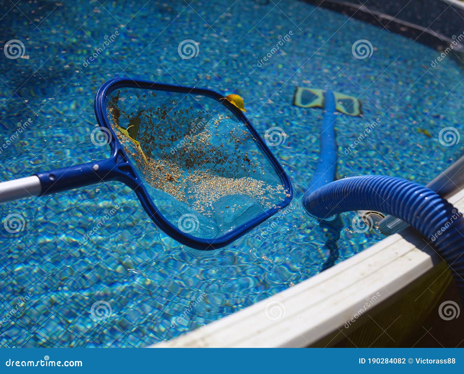 Pollen and Garbagein a Pool Net Stock Photo - Image of sunny, closeup:  190284082