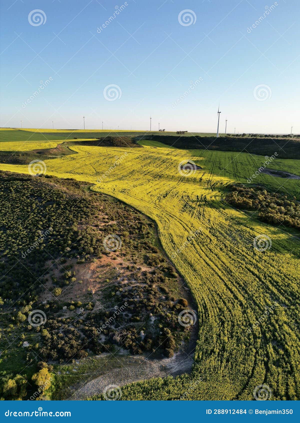 Pollin stock photo. Image of pollin, drive, landscape 288912484