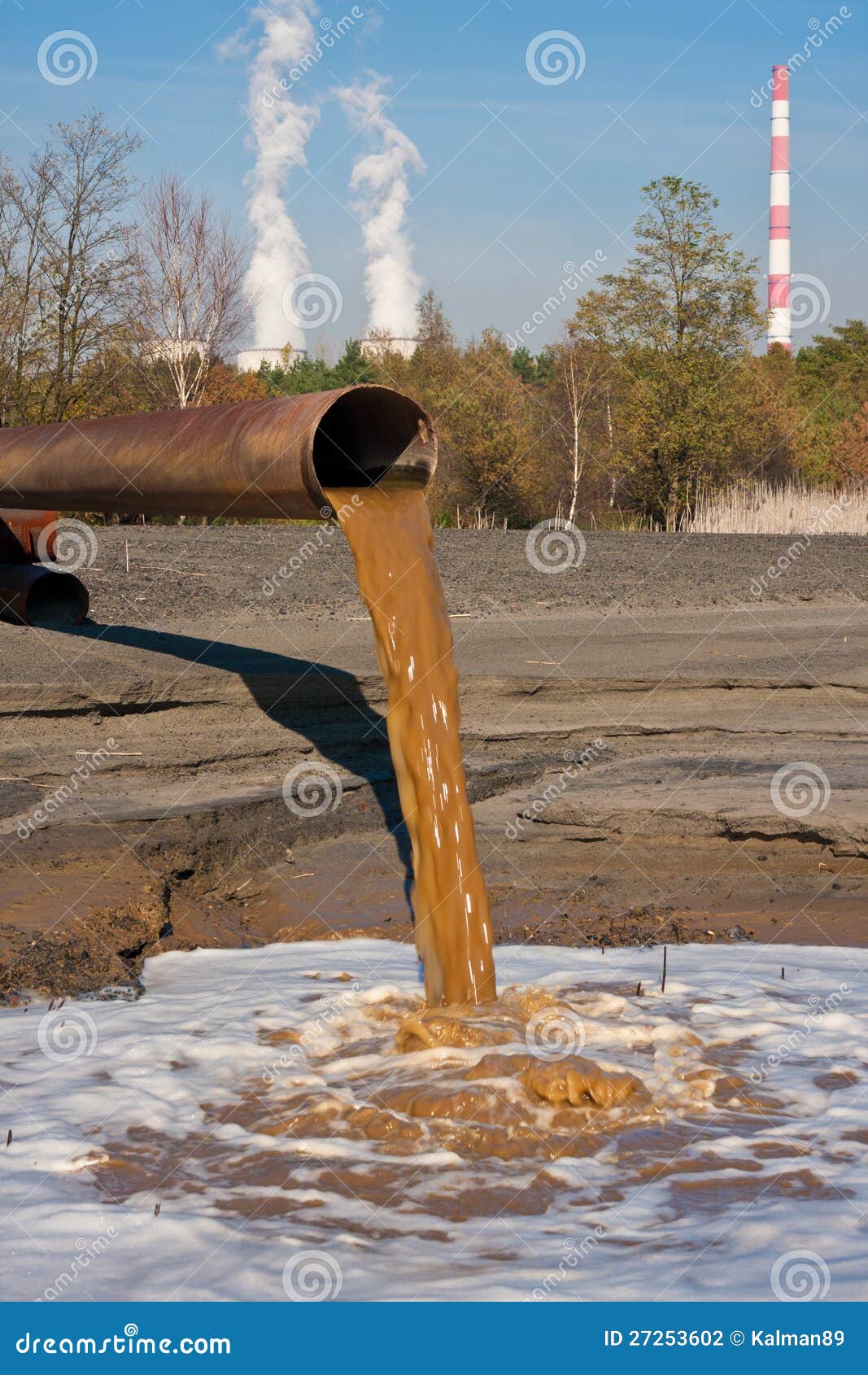 Polluted Water stock photo. Image of plant, polution - 27253602