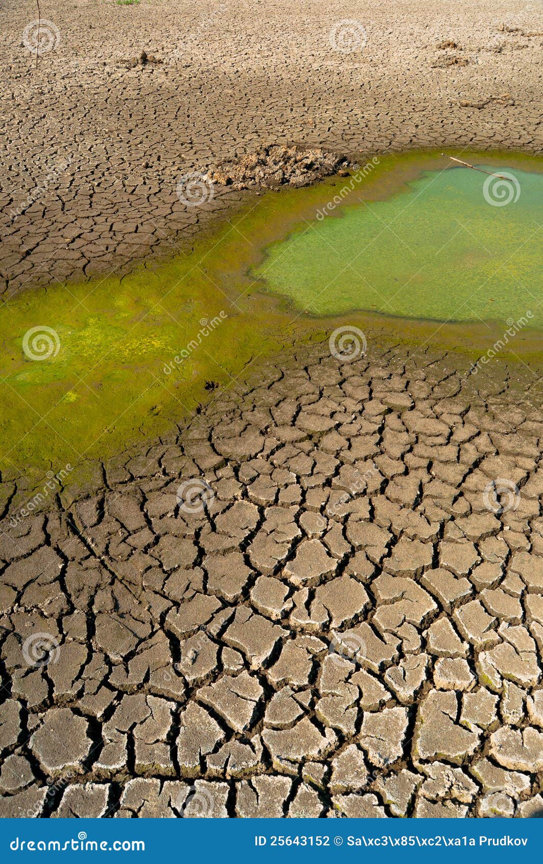 Polluted Water And Cracked Soil Of Dried Out Lake Stock Photo Image