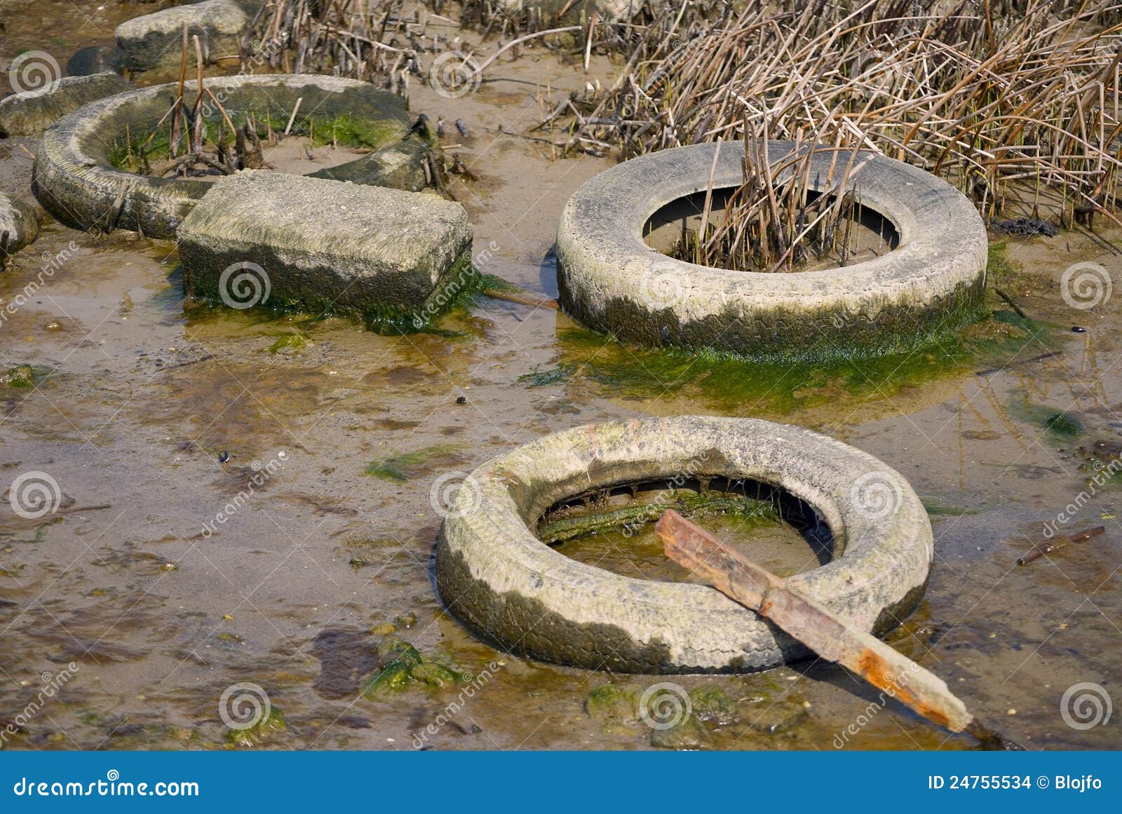 Pollution. Debris in the form of old car tires and scrap metal in nature