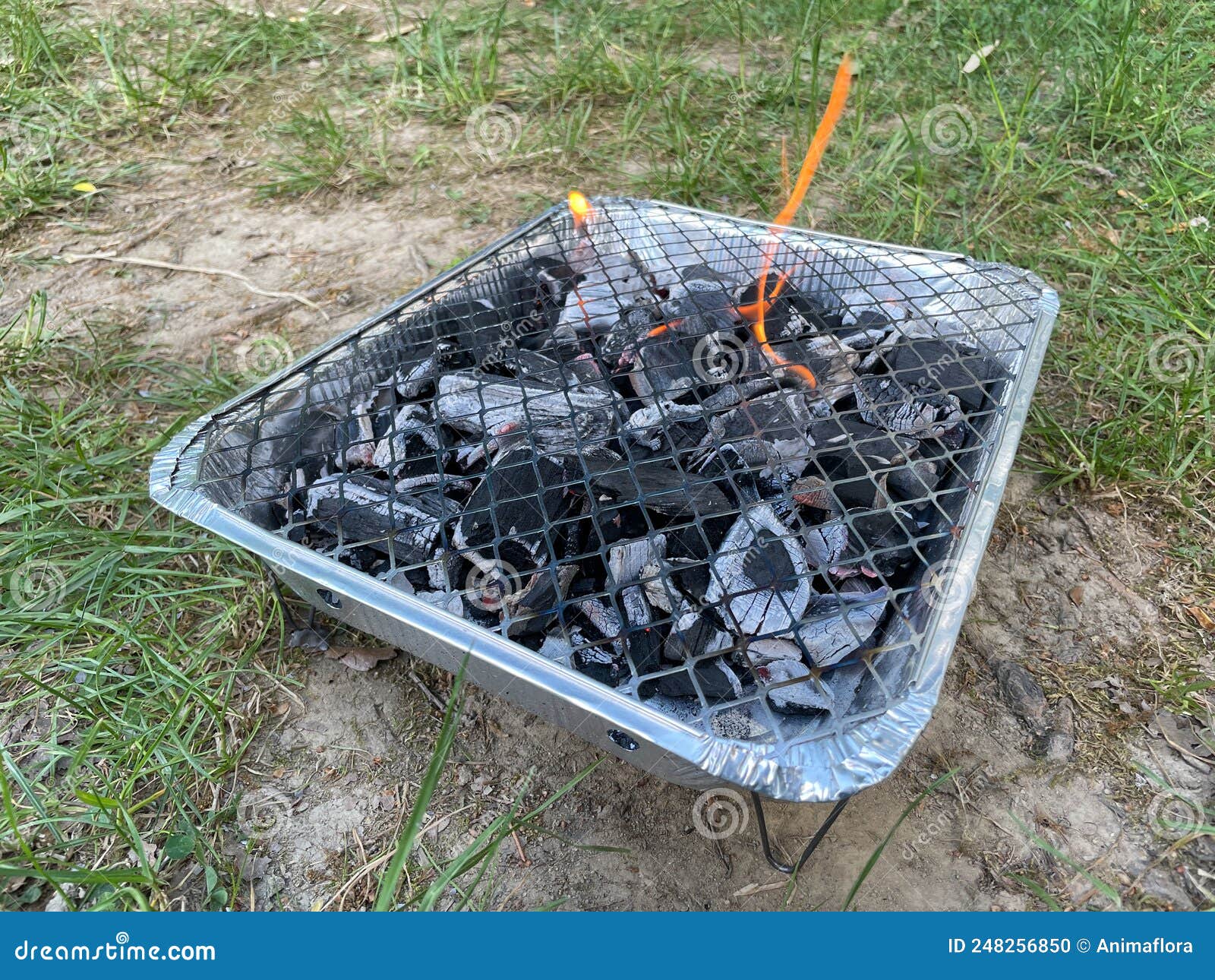 Pollution Disposable Grill at Camping Stock Photo Image of burn