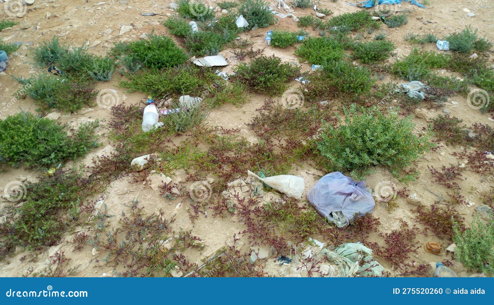Pollution Due To Plastic Bags and Its Impact on Plants Stock Photo