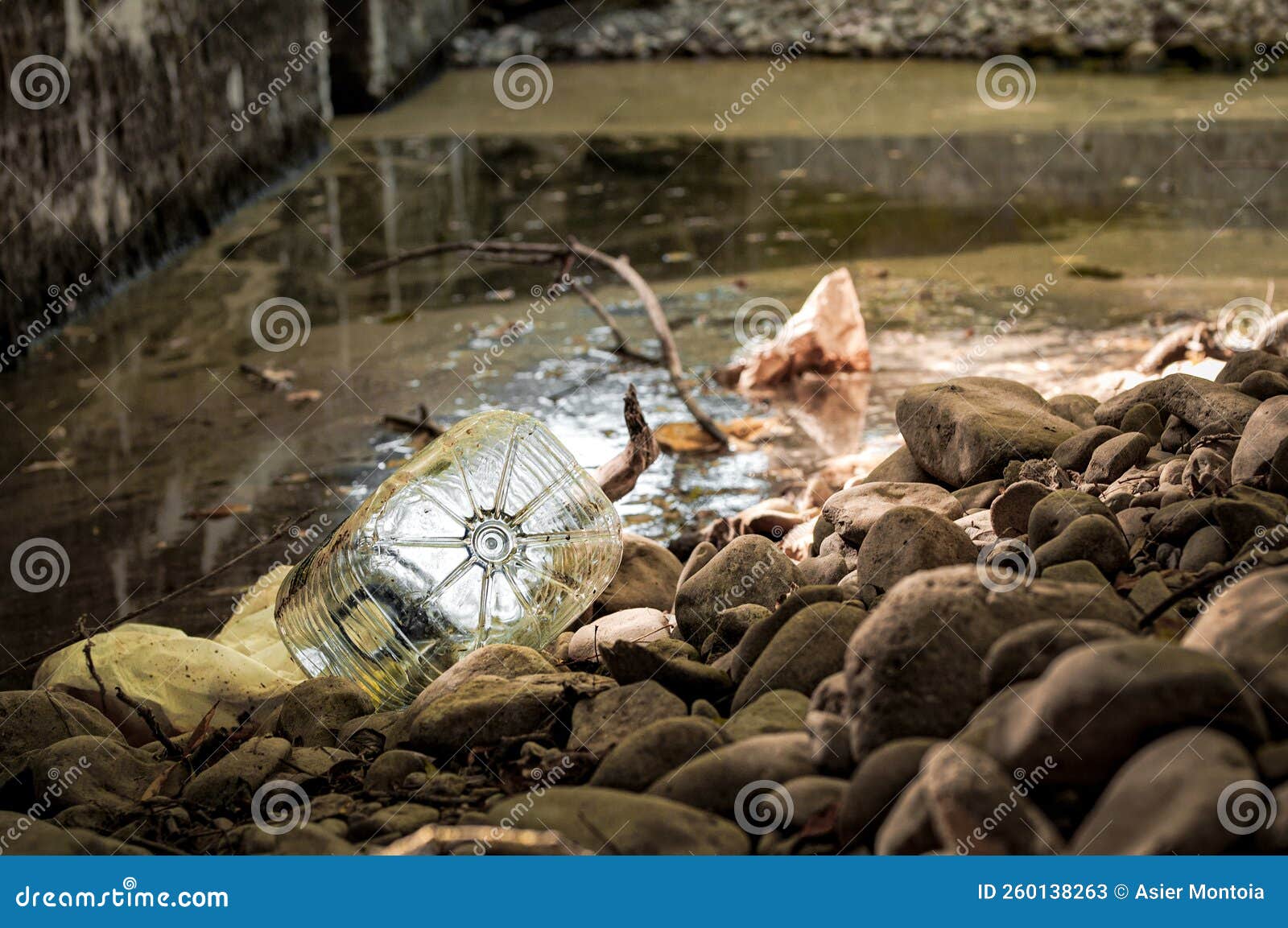 pollution and garbage accumulate on the banks of the baia river