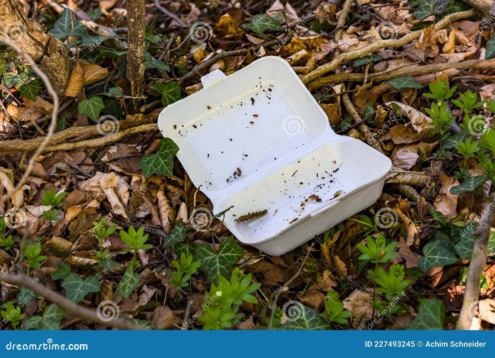 Pollution from Throwing Away a Plastic Takeaway Container Stock Image Image of germany, waste