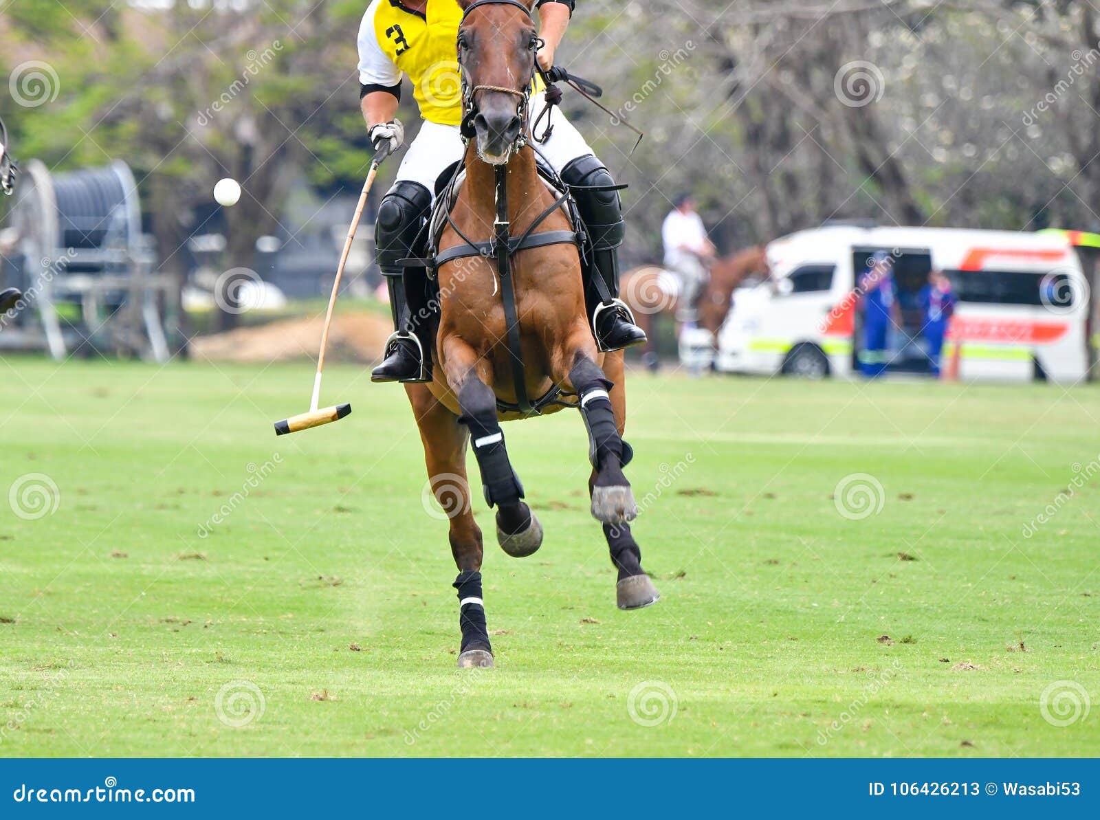 Polo Horse Player Riding stock image. Image of field 106426213