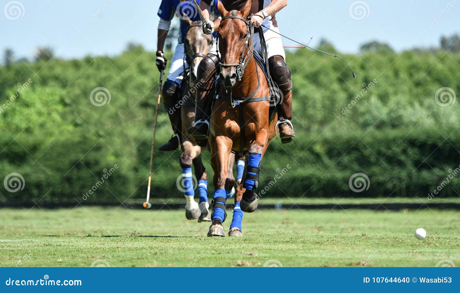 Polo Horse Player Riding stock photo. Image of horseback 107644640